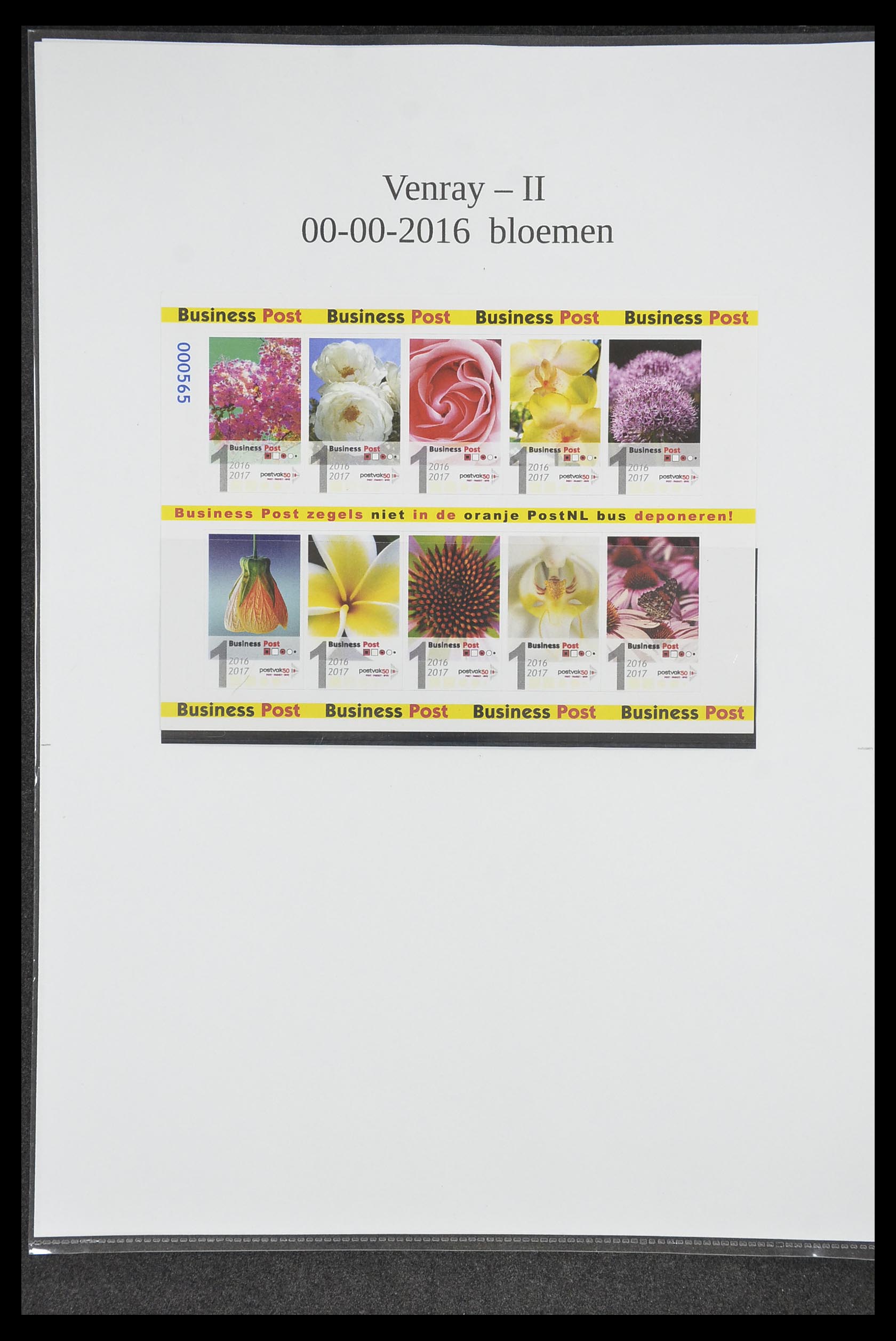 33500 2047 - Postzegelverzameling 33500 Nederland stadspost 1969-2019!!