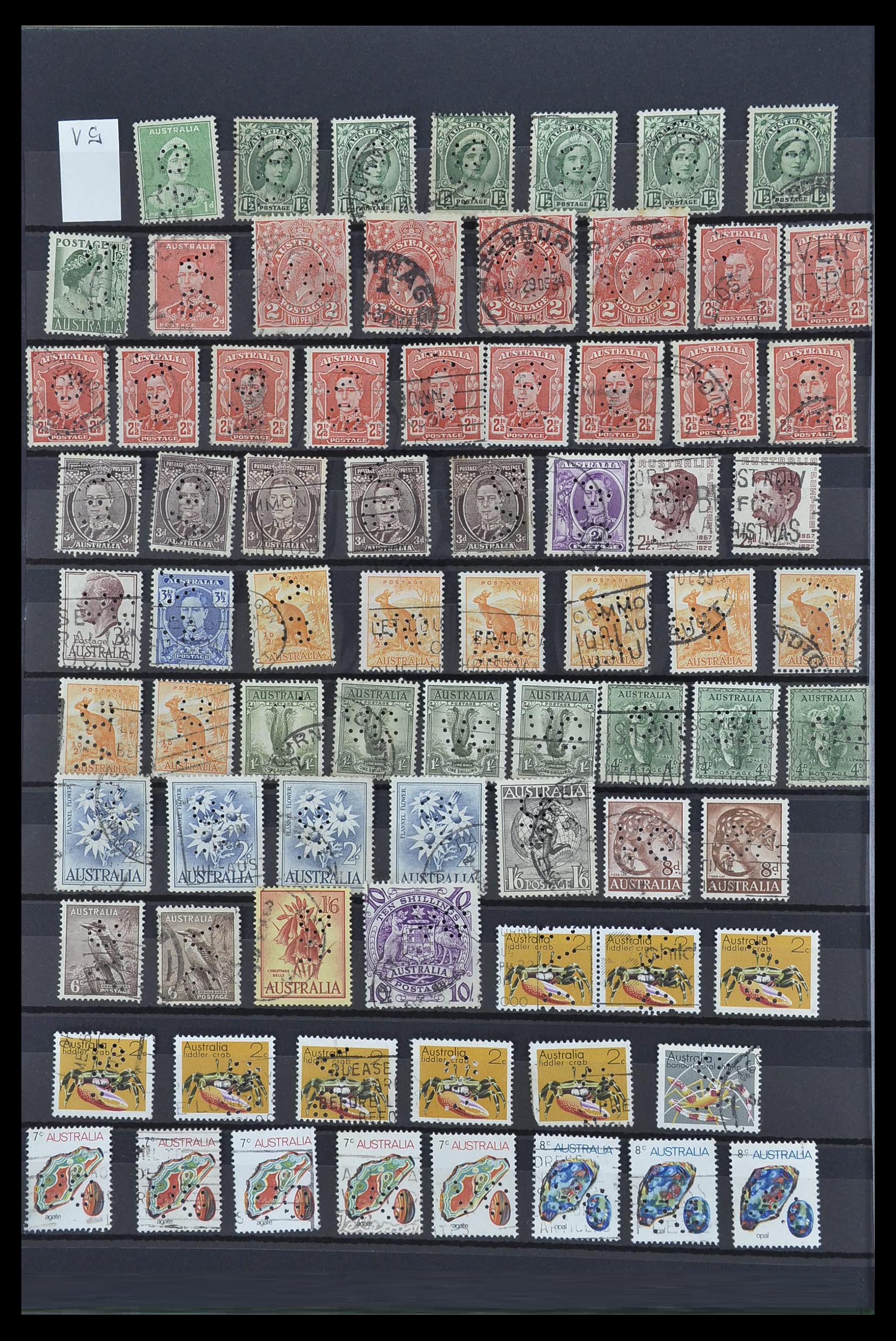 33510 002 - Postzegelverzameling 33510 Australië perfins 1900-1970.