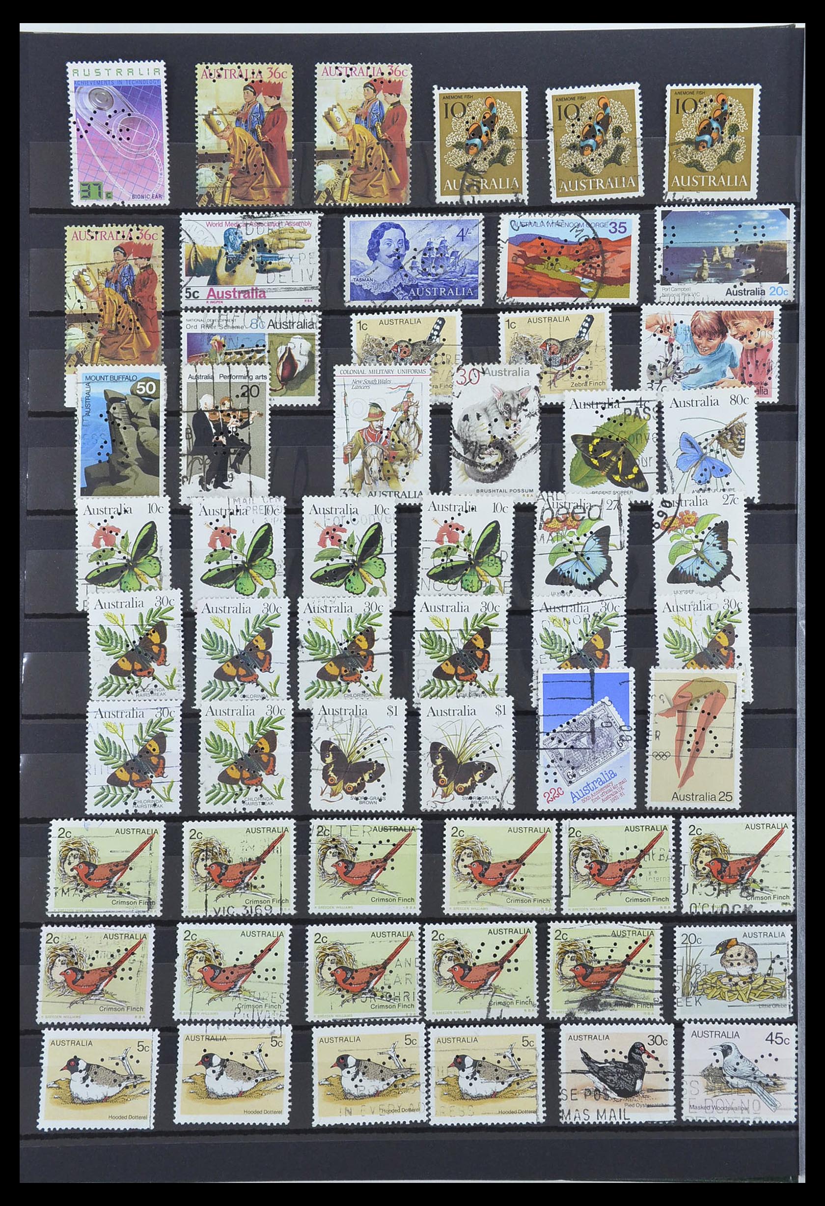 33510 006 - Postzegelverzameling 33510 Australië perfins 1900-1970.