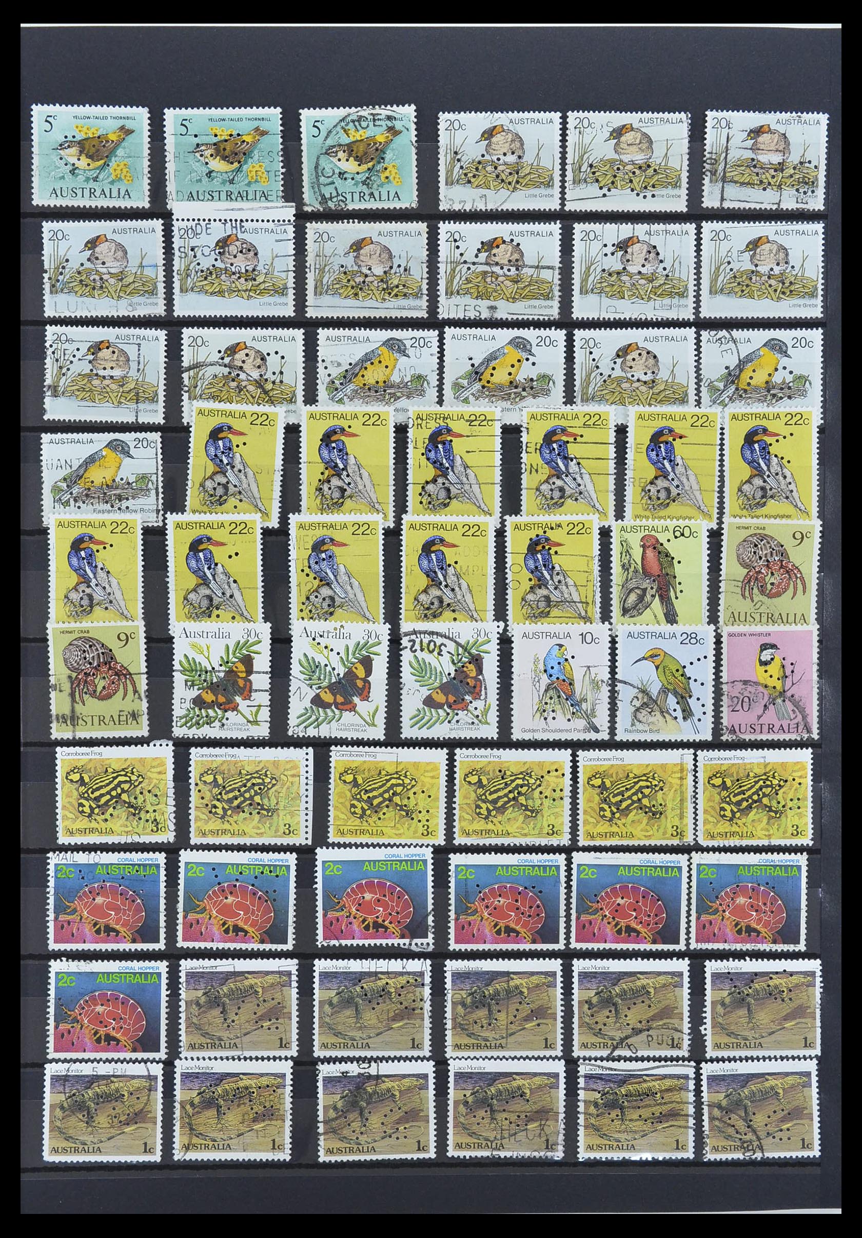 33510 007 - Postzegelverzameling 33510 Australië perfins 1900-1970.