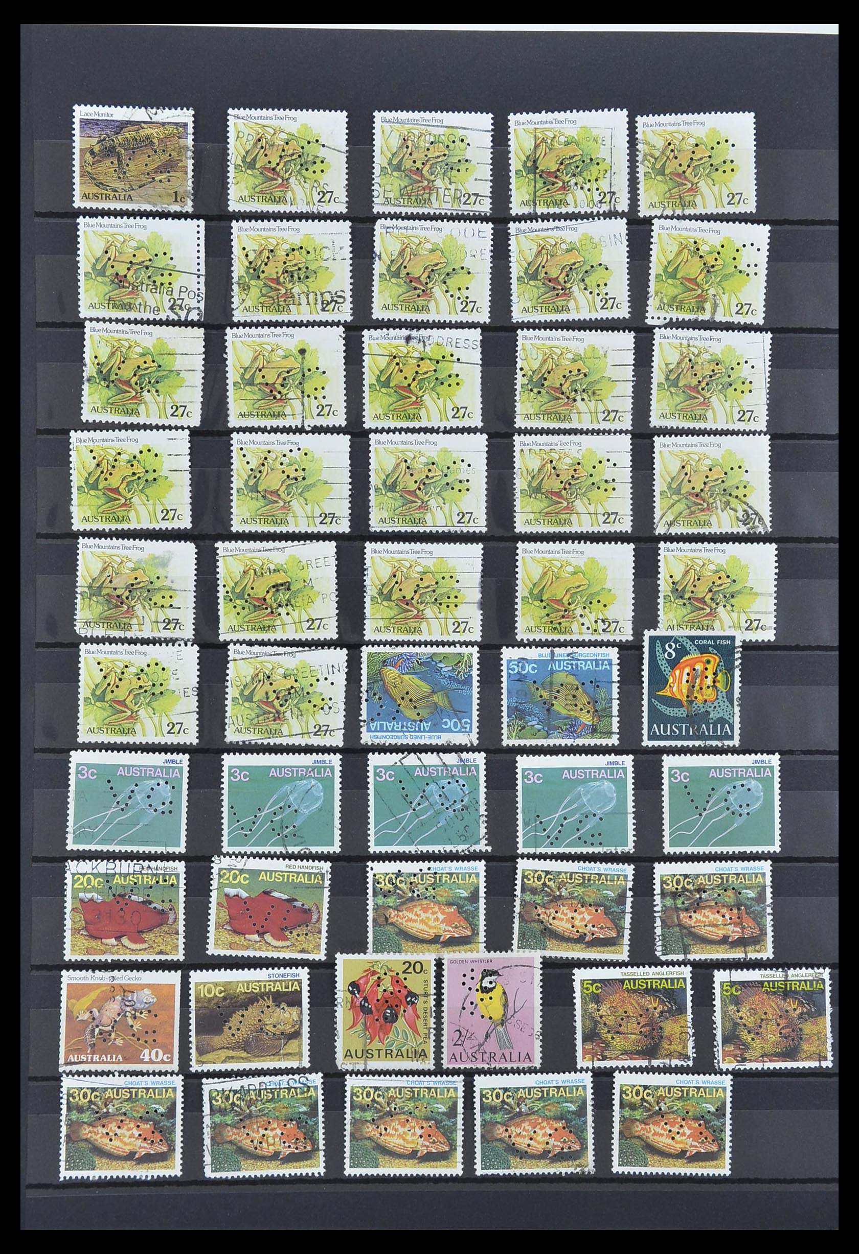 33510 008 - Postzegelverzameling 33510 Australië perfins 1900-1970.