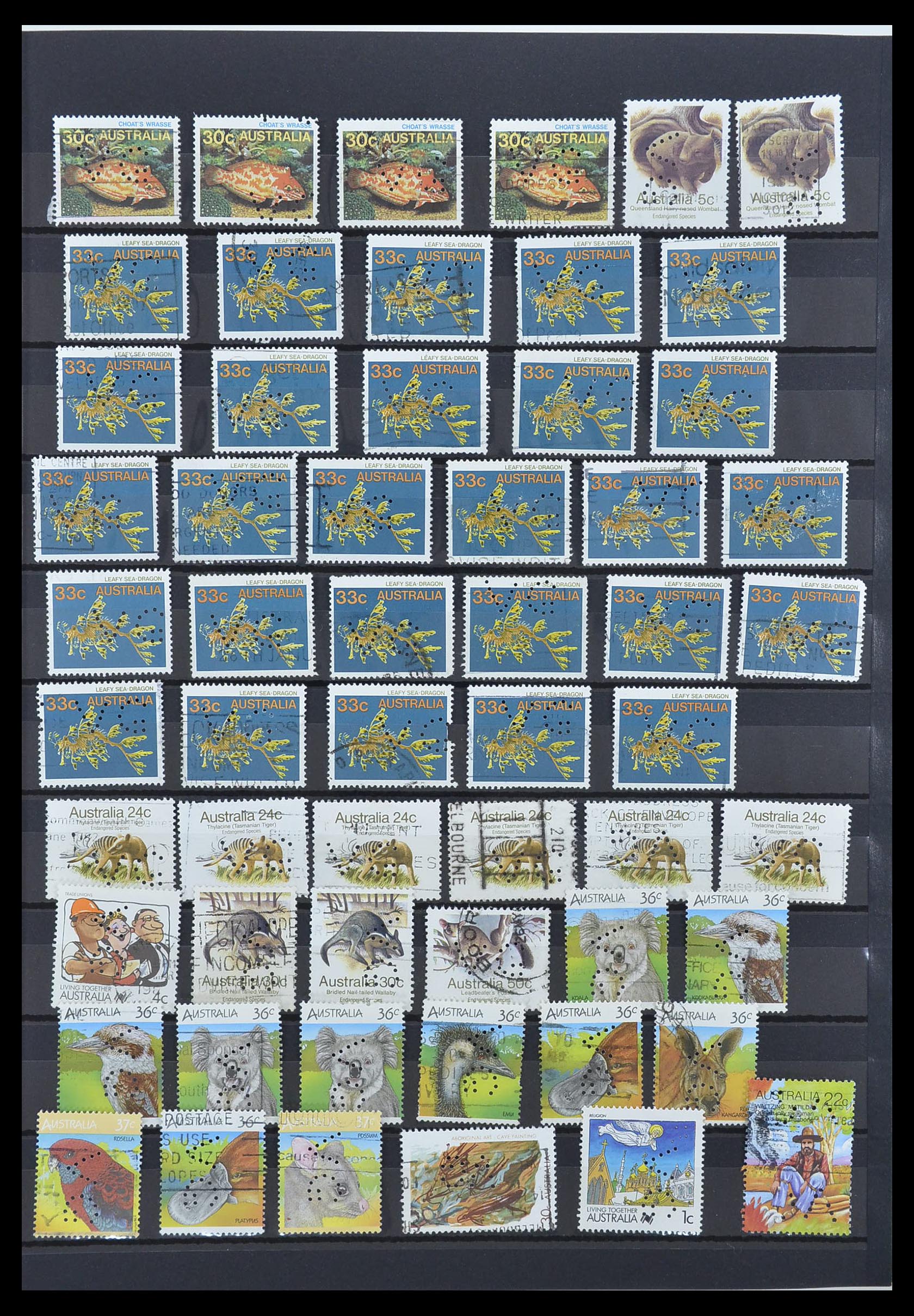 33510 009 - Postzegelverzameling 33510 Australië perfins 1900-1970.