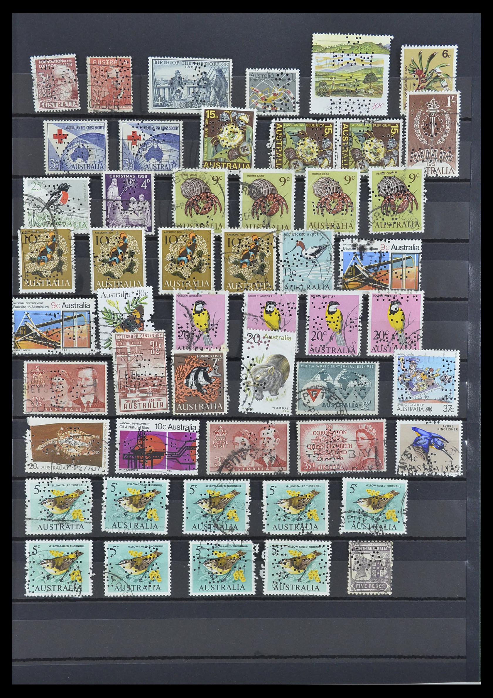 33510 013 - Postzegelverzameling 33510 Australië perfins 1900-1970.