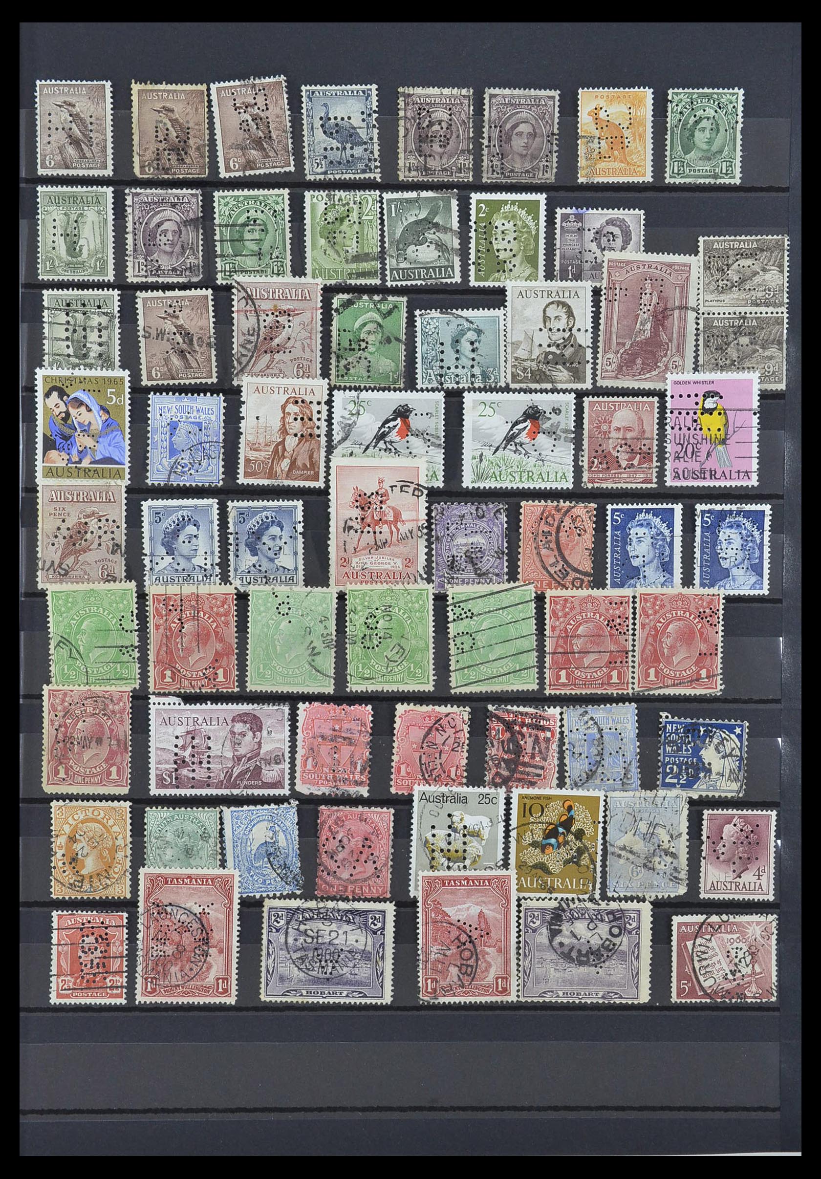 33510 015 - Postzegelverzameling 33510 Australië perfins 1900-1970.
