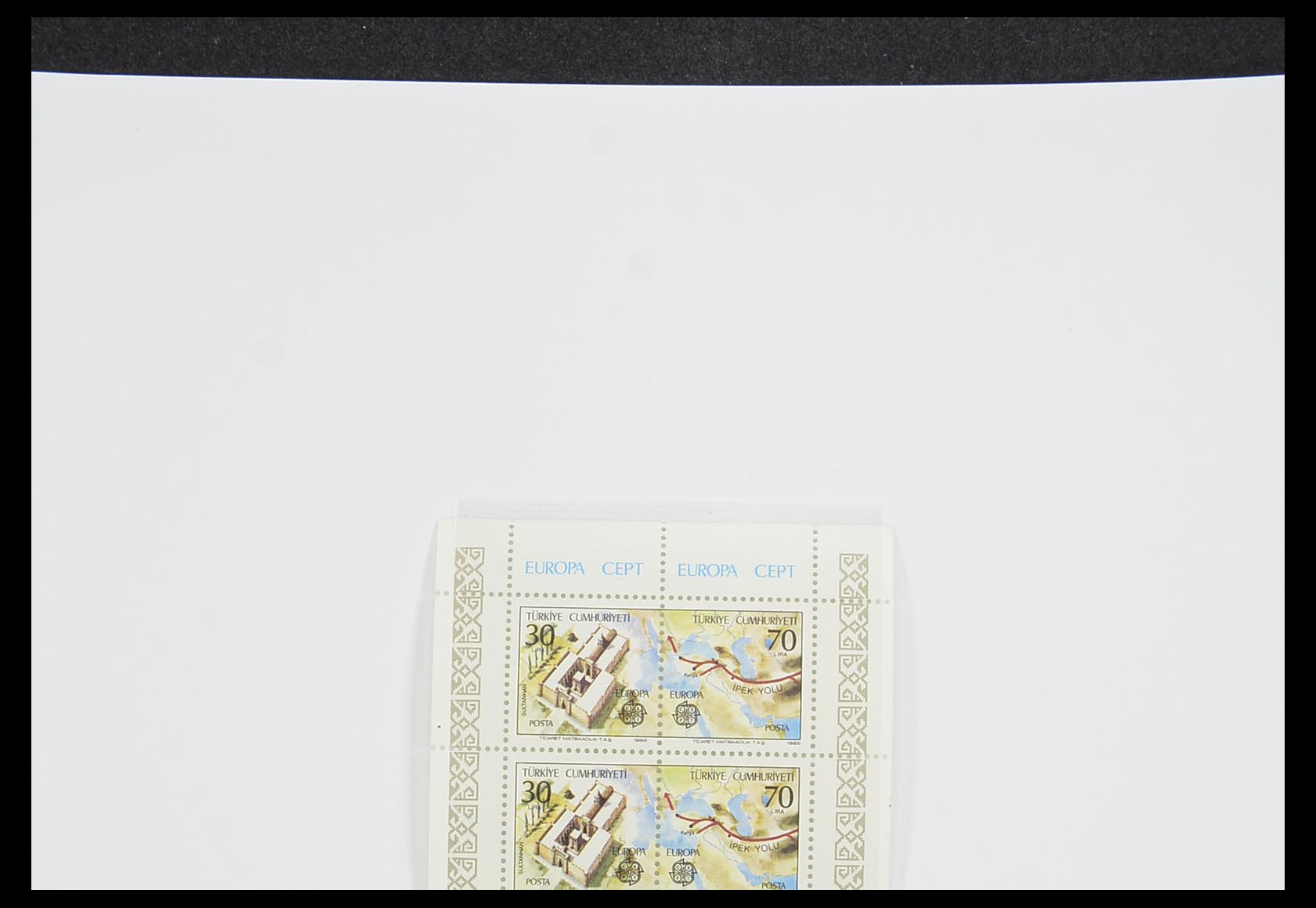 33530 137 - Postzegelverzameling 33530 Europa CEPT 1949-2013.