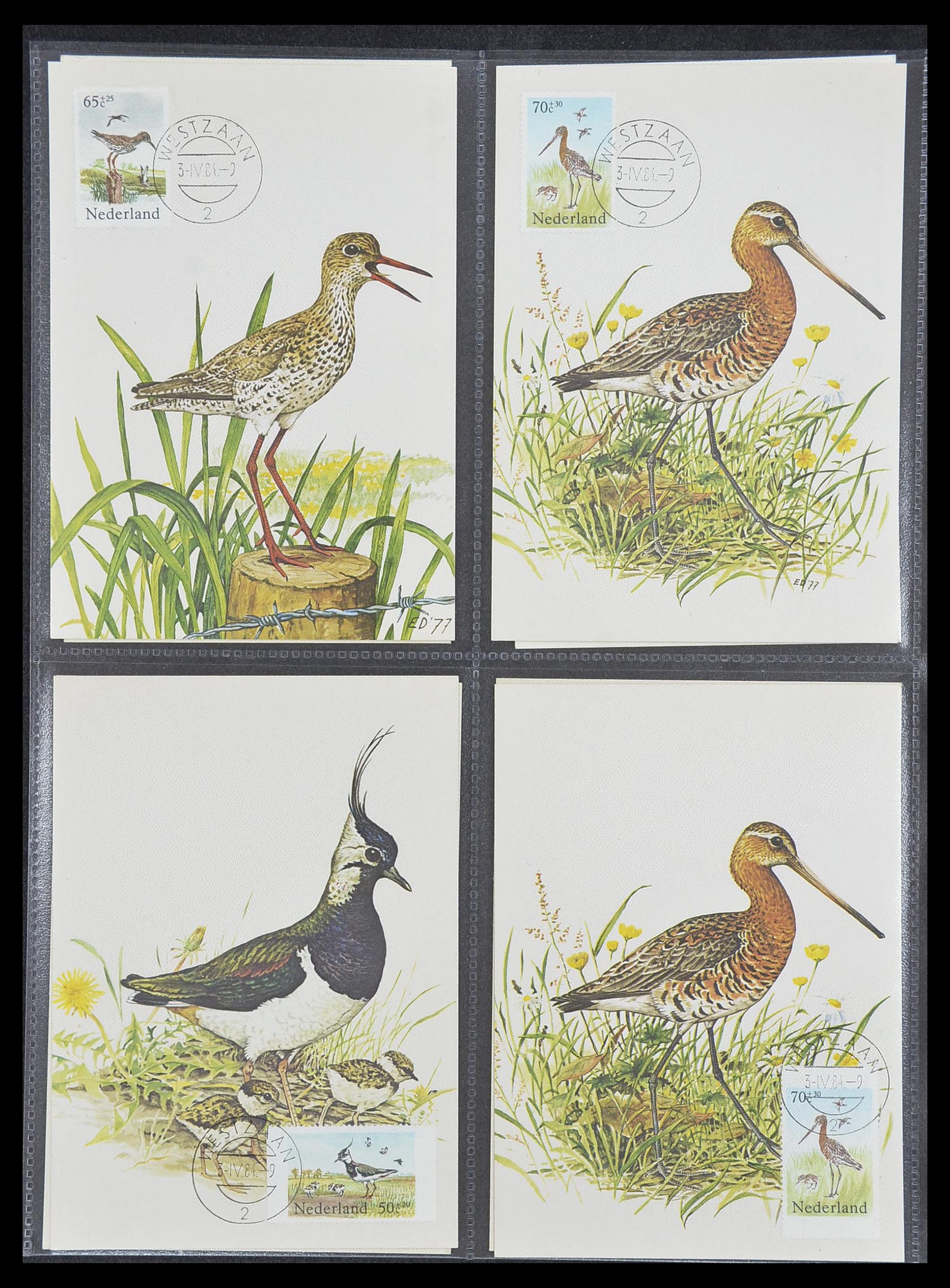 33531 090 - Postzegelverzameling 33531 Nederland maximumkaarten 1928(!)-2006.