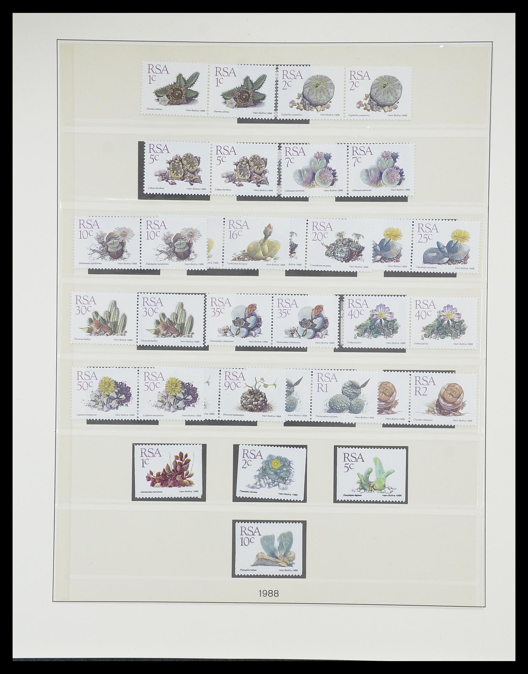 33533 053 - Postzegelverzameling 33533 Zuid Afrika 1961-2013.