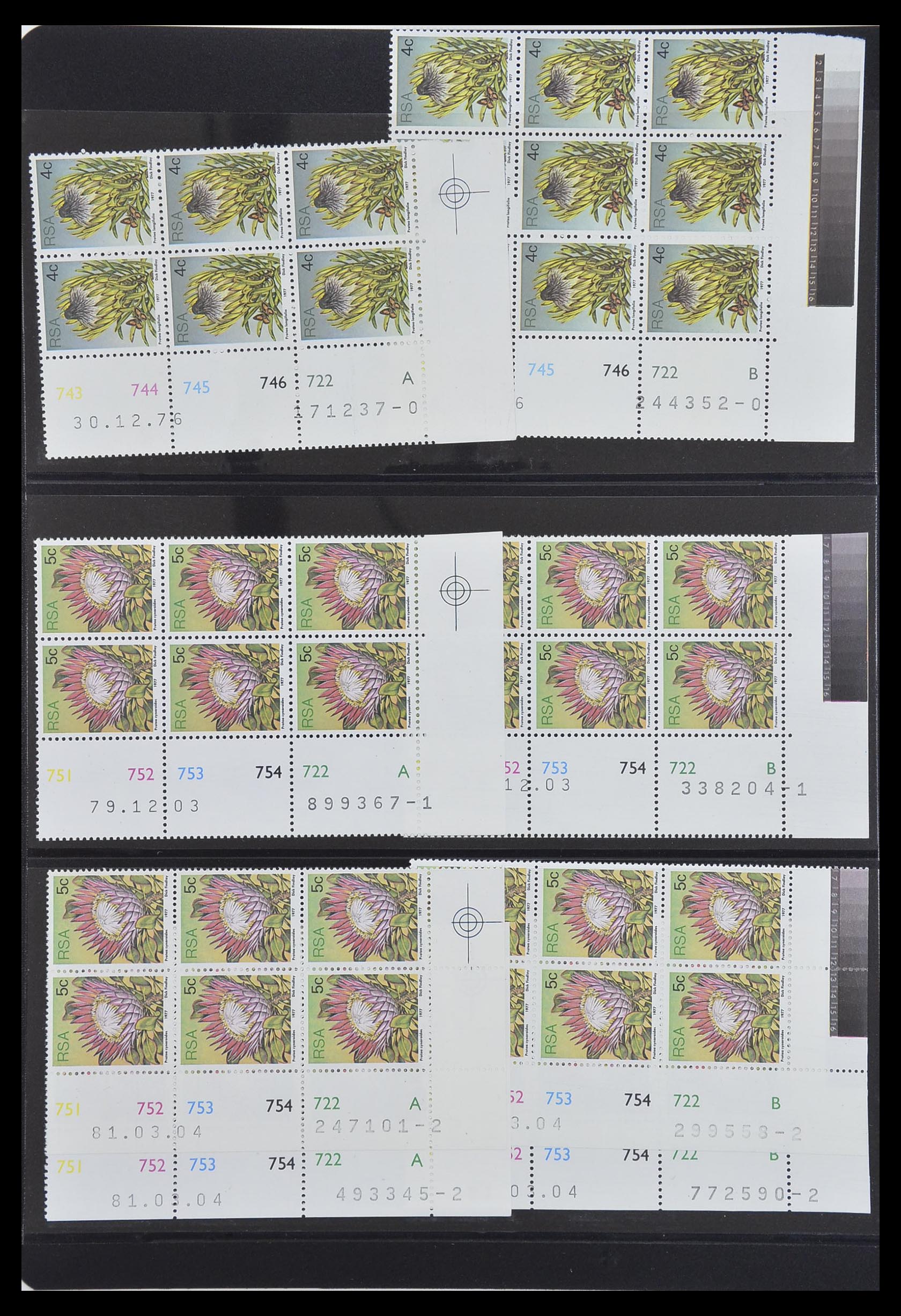 33533 374 - Postzegelverzameling 33533 Zuid Afrika 1961-2013.