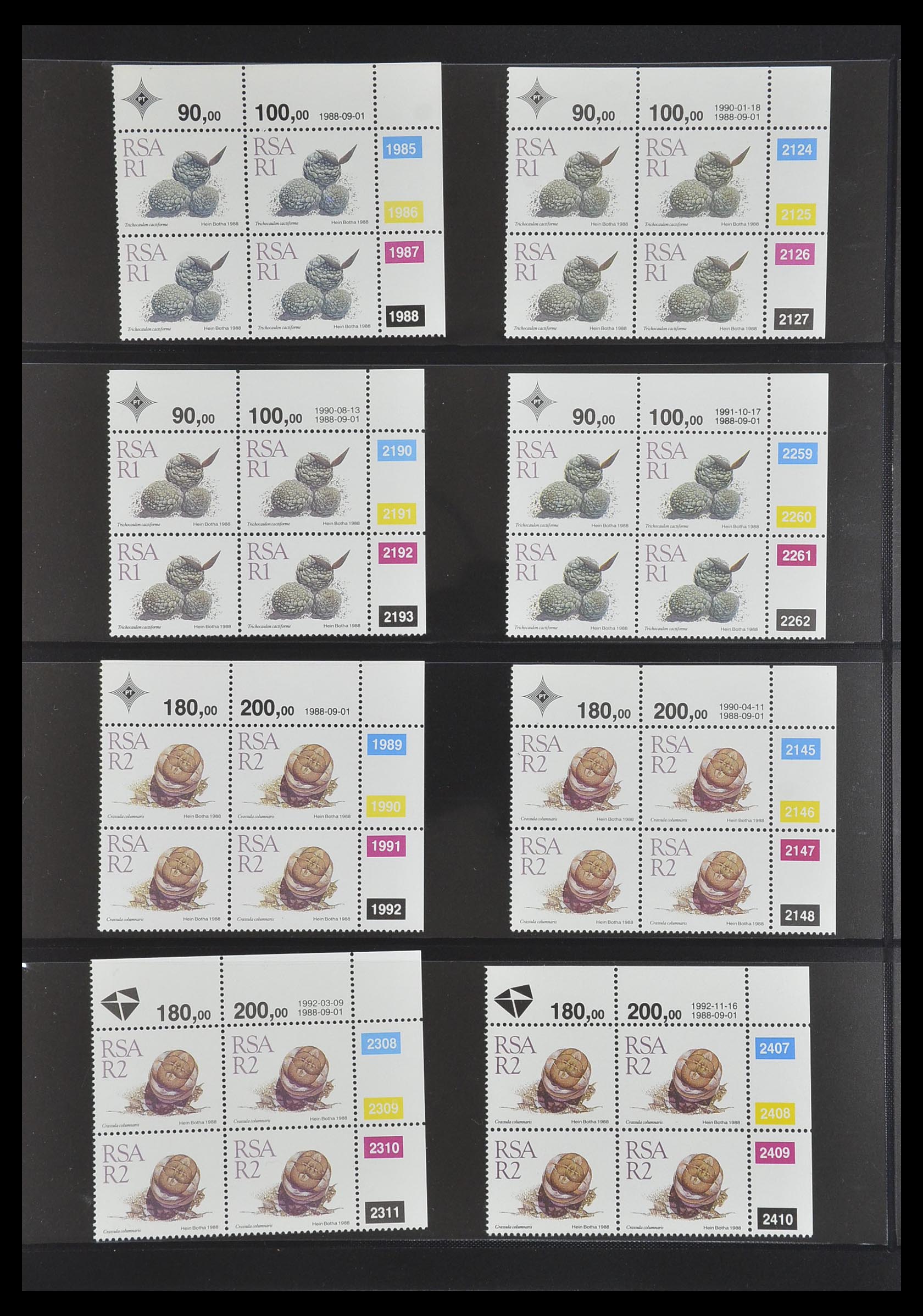 33533 436 - Postzegelverzameling 33533 Zuid Afrika 1961-2013.