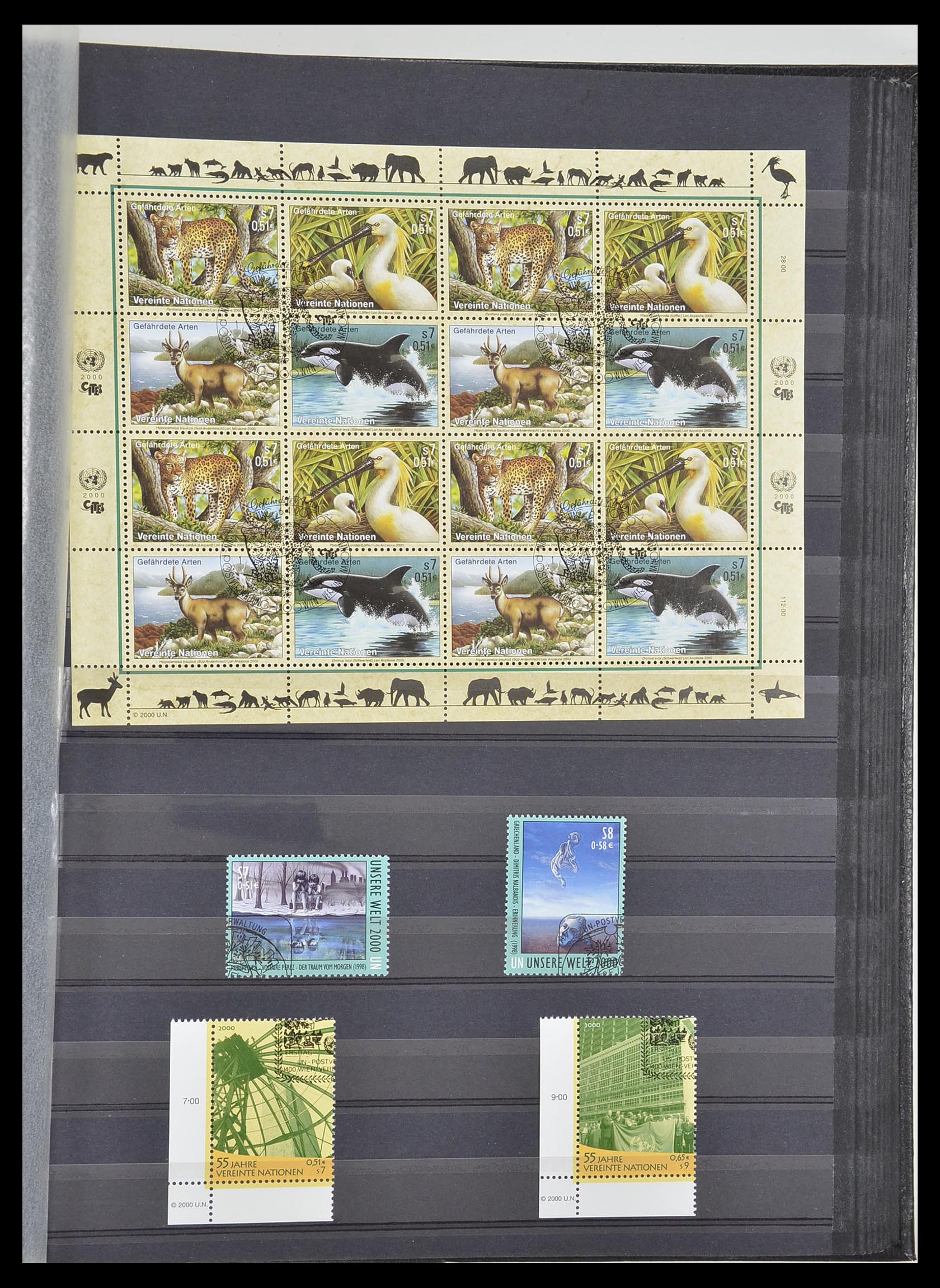 33535 049 - Postzegelverzameling 33535 Verenigde Naties 1951-2008.