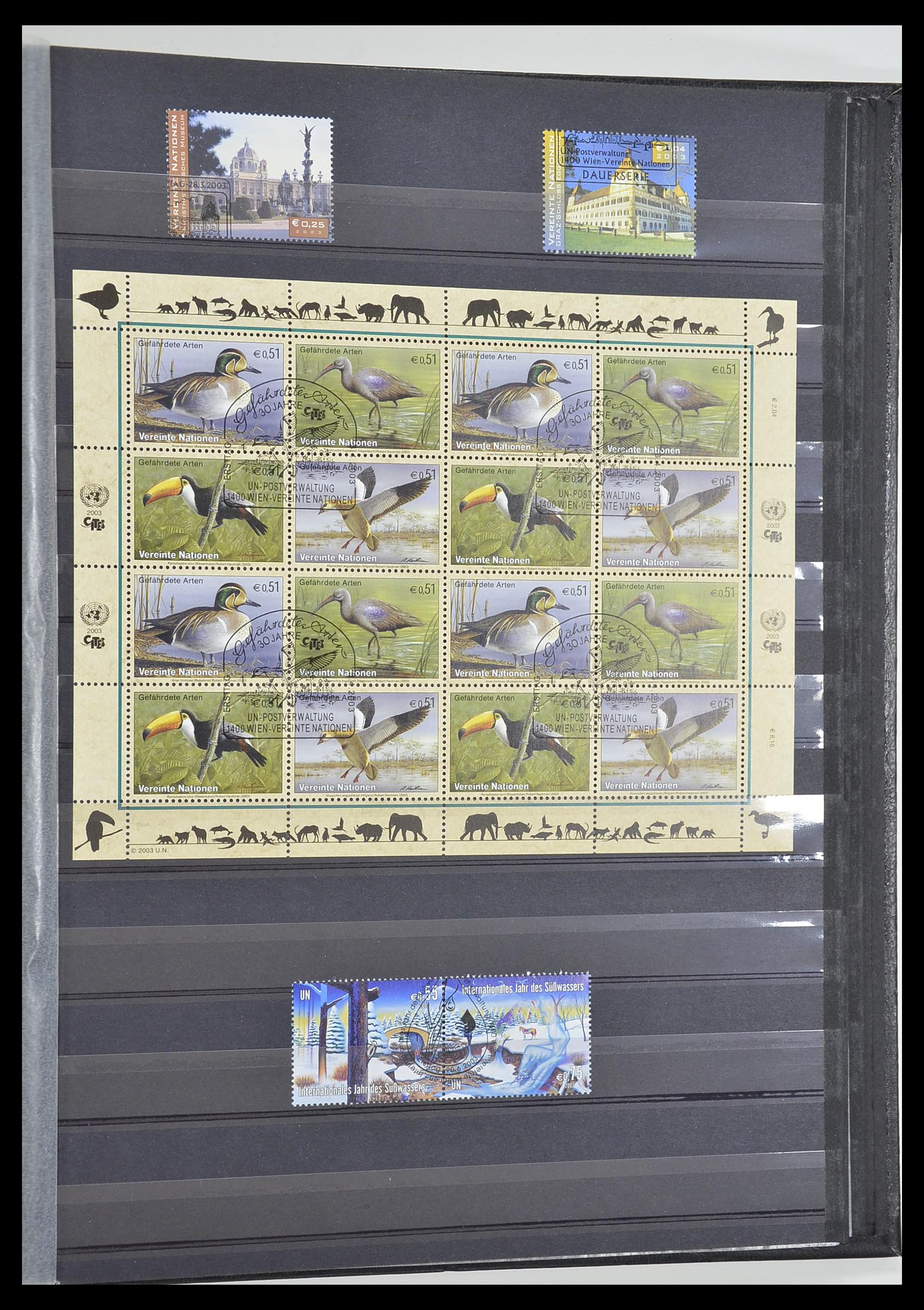 33535 058 - Postzegelverzameling 33535 Verenigde Naties 1951-2008.