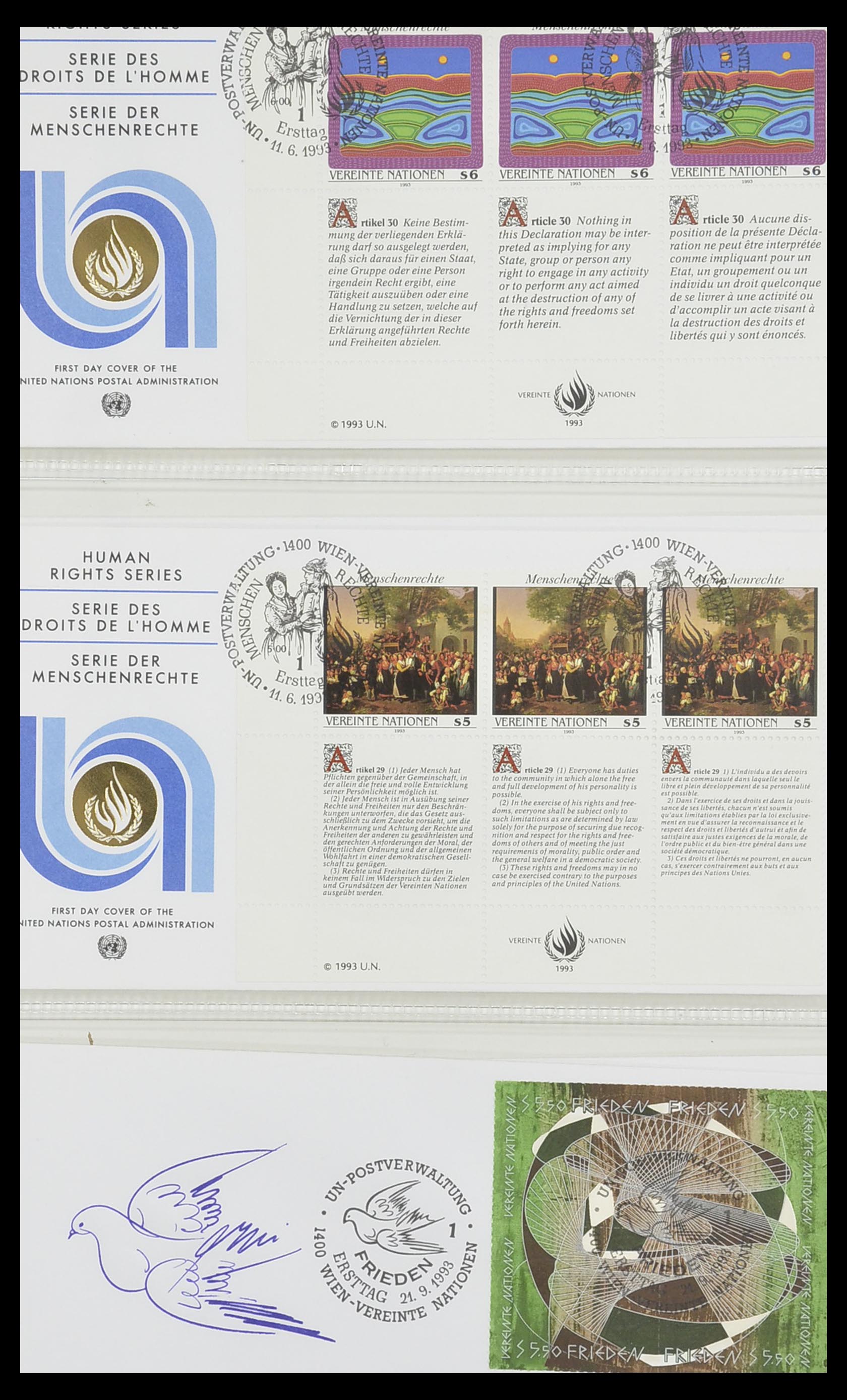 33535 100 - Postzegelverzameling 33535 Verenigde Naties 1951-2008.