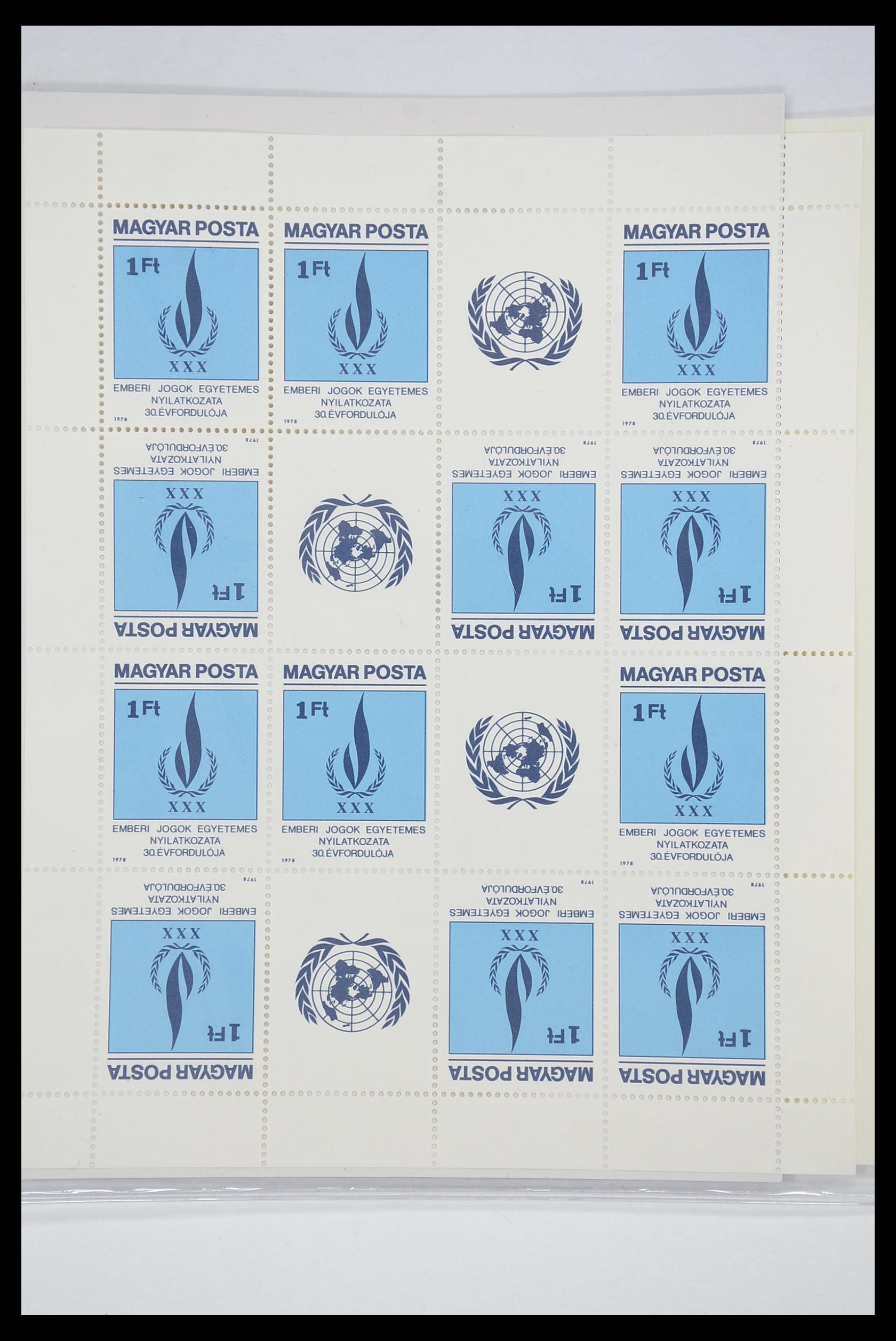 33541 019 - Postzegelverzameling 33541 Diverse motieven 1940-2000.