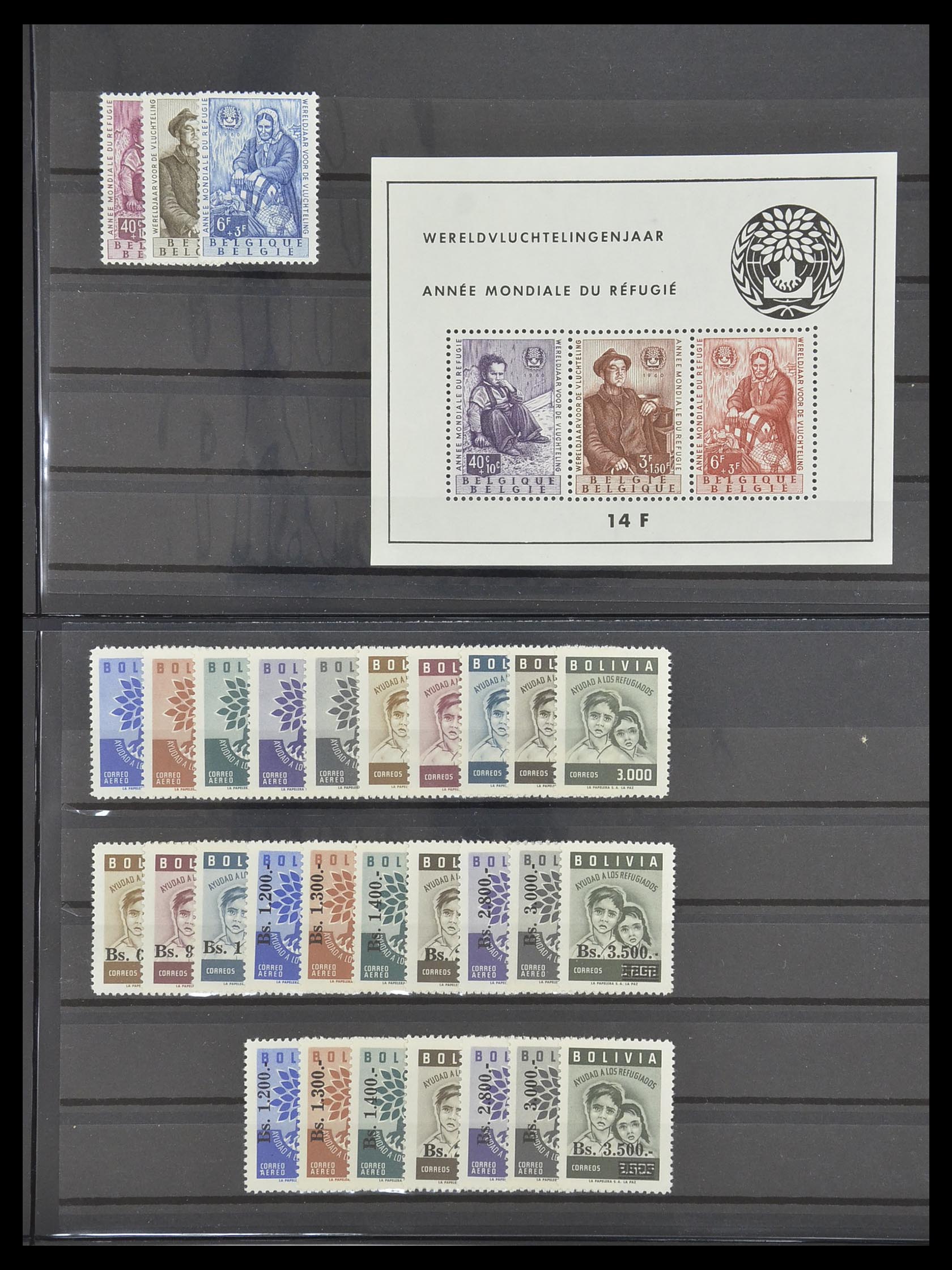 33541 062 - Postzegelverzameling 33541 Diverse motieven 1940-2000.