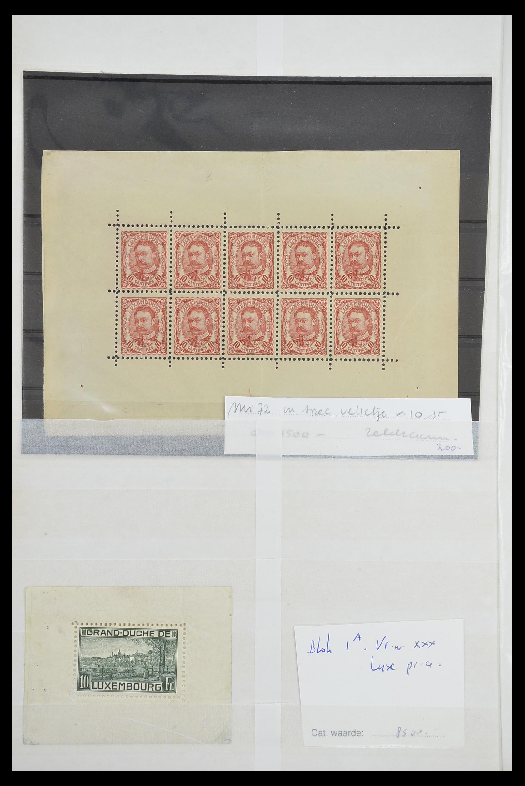 33610 012 - Postzegelverzameling 33610 Luxemburg 1852-1955.