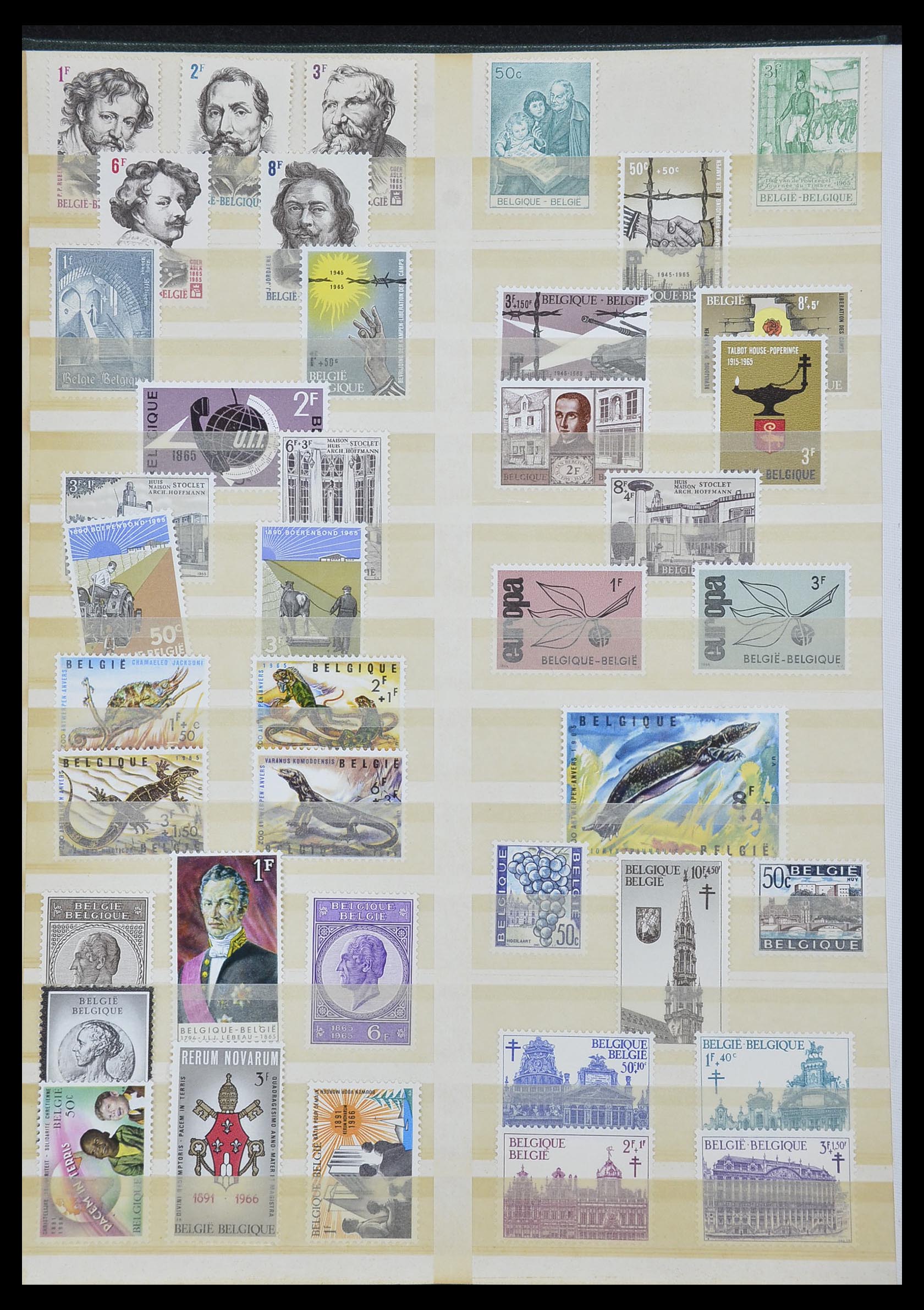 33613 008 - Stamp collection 33613 Belgium 1957-1983.