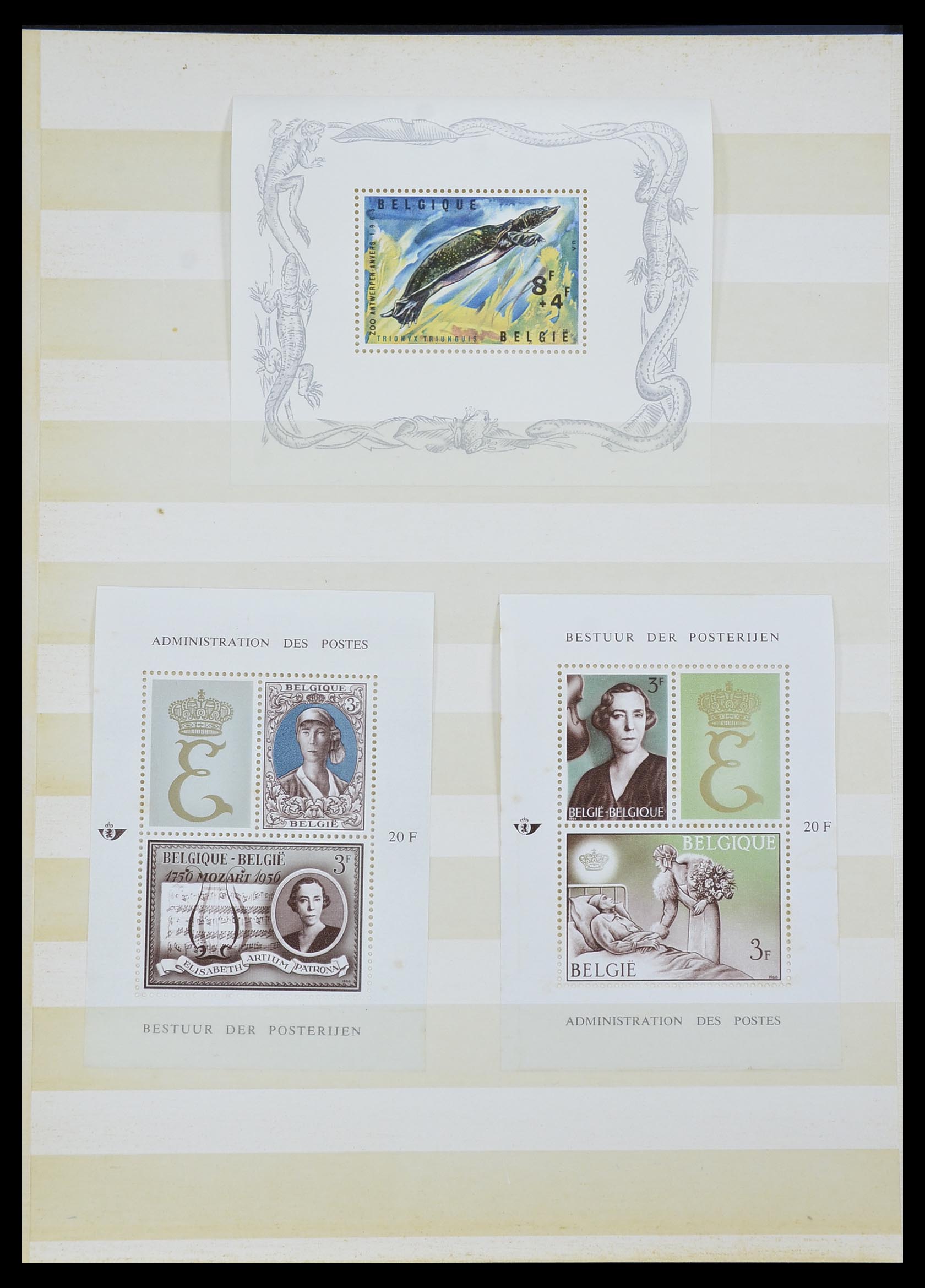 33613 035 - Stamp collection 33613 Belgium 1957-1983.