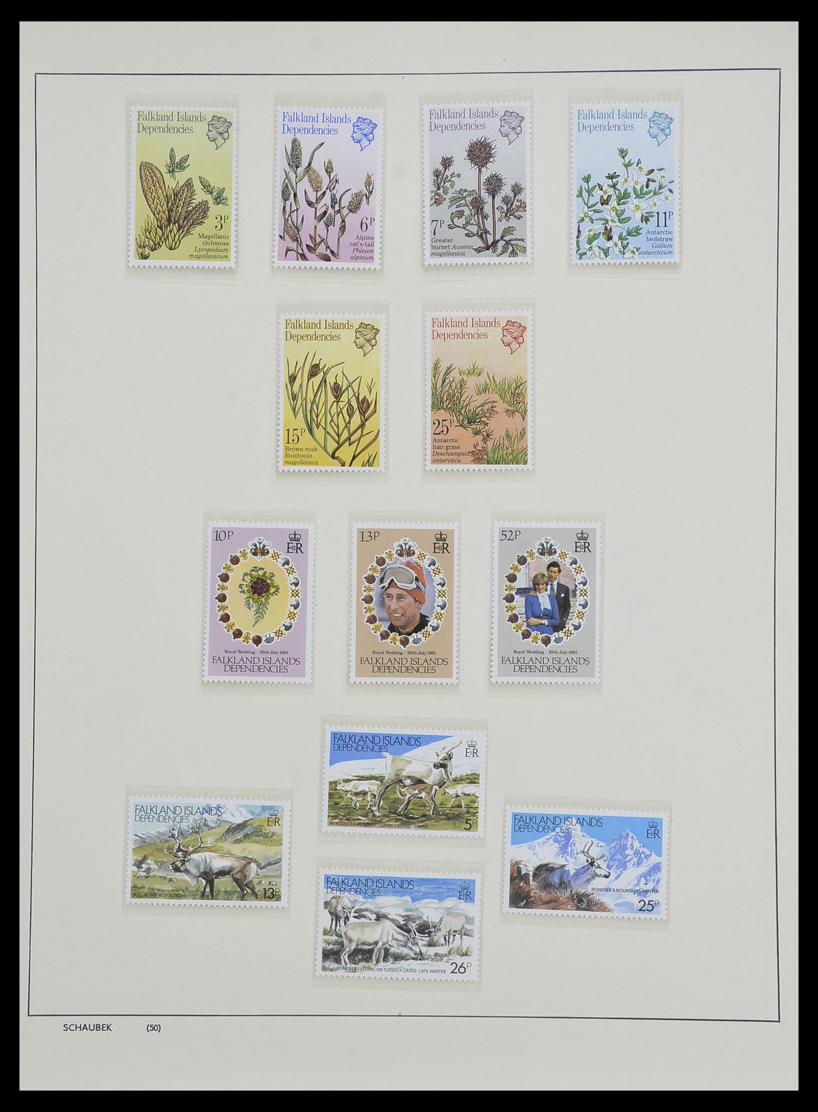 33626 049 - Postzegelverzameling 33626 Falkland Eilanden en Dependencies 1891-198