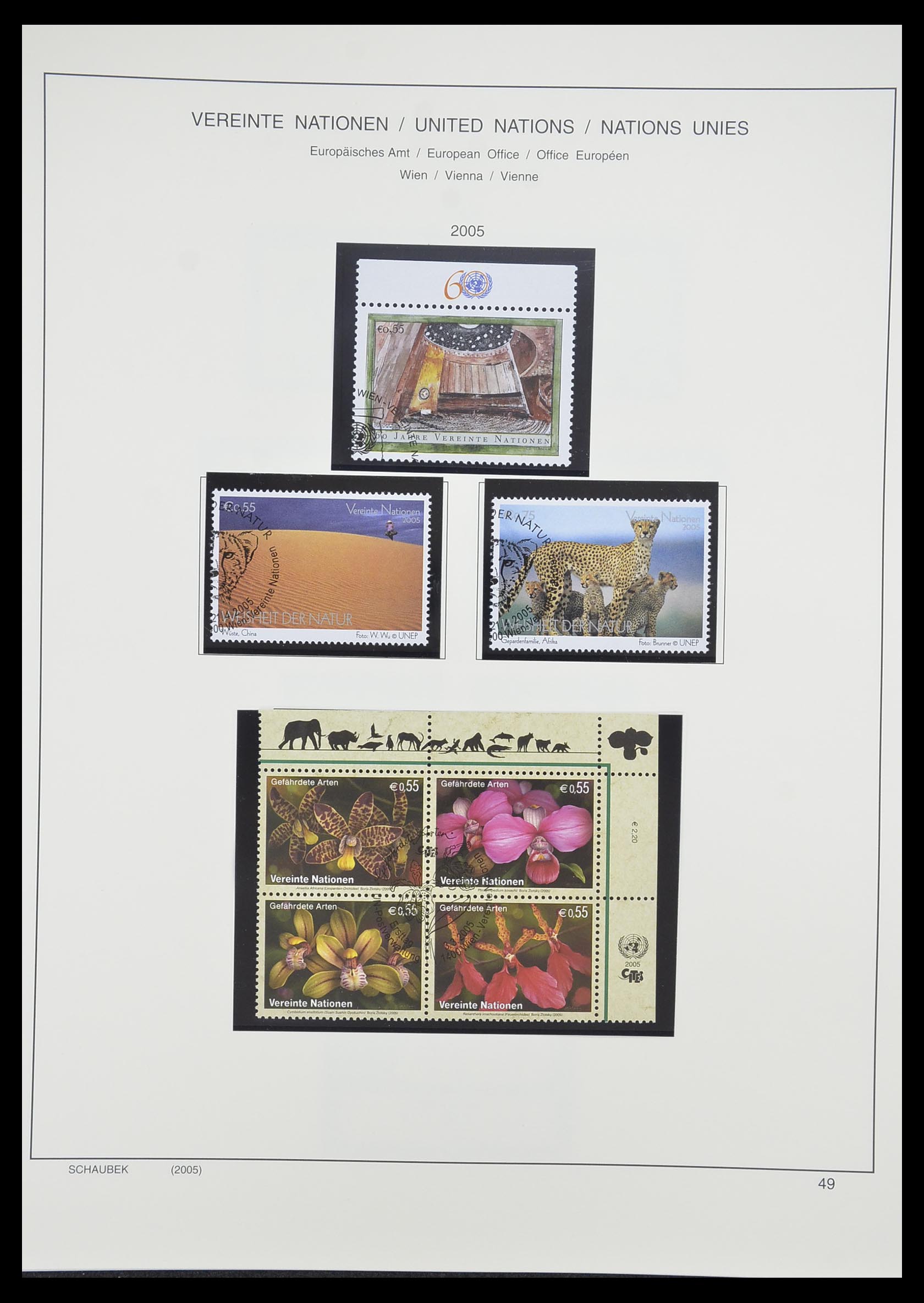 33637 893 - Postzegelverzameling 33637 Verenigde Naties 1951-2005.