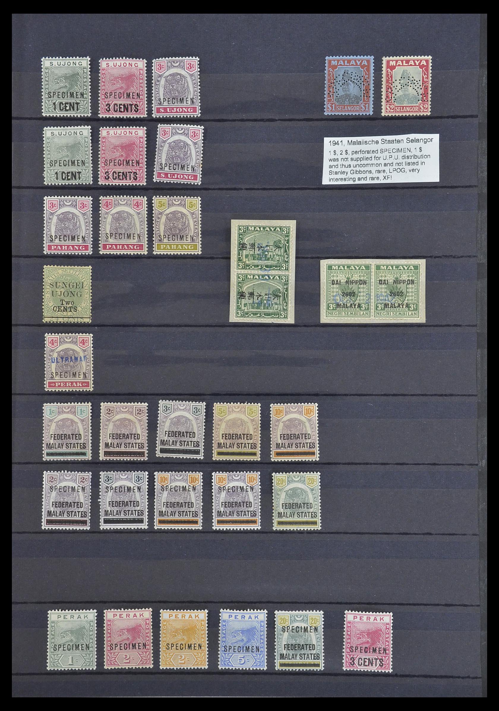 33640 019 - Postzegelverzameling 33640 Engelse koloniën topmateriaal 1853-1953.