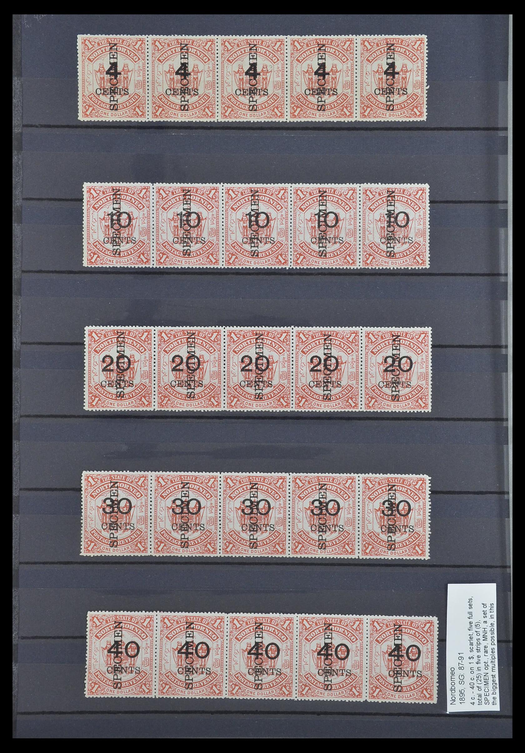 33640 028 - Postzegelverzameling 33640 Engelse koloniën topmateriaal 1853-1953.