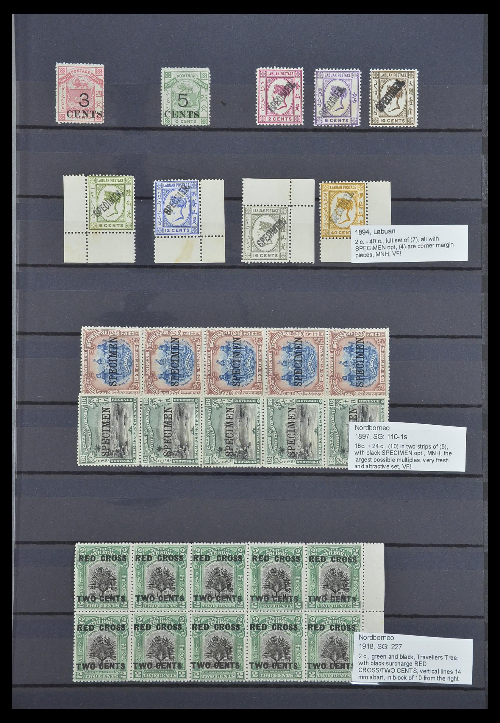 33640 029 - Postzegelverzameling 33640 Engelse koloniën topmateriaal 1853-1953.