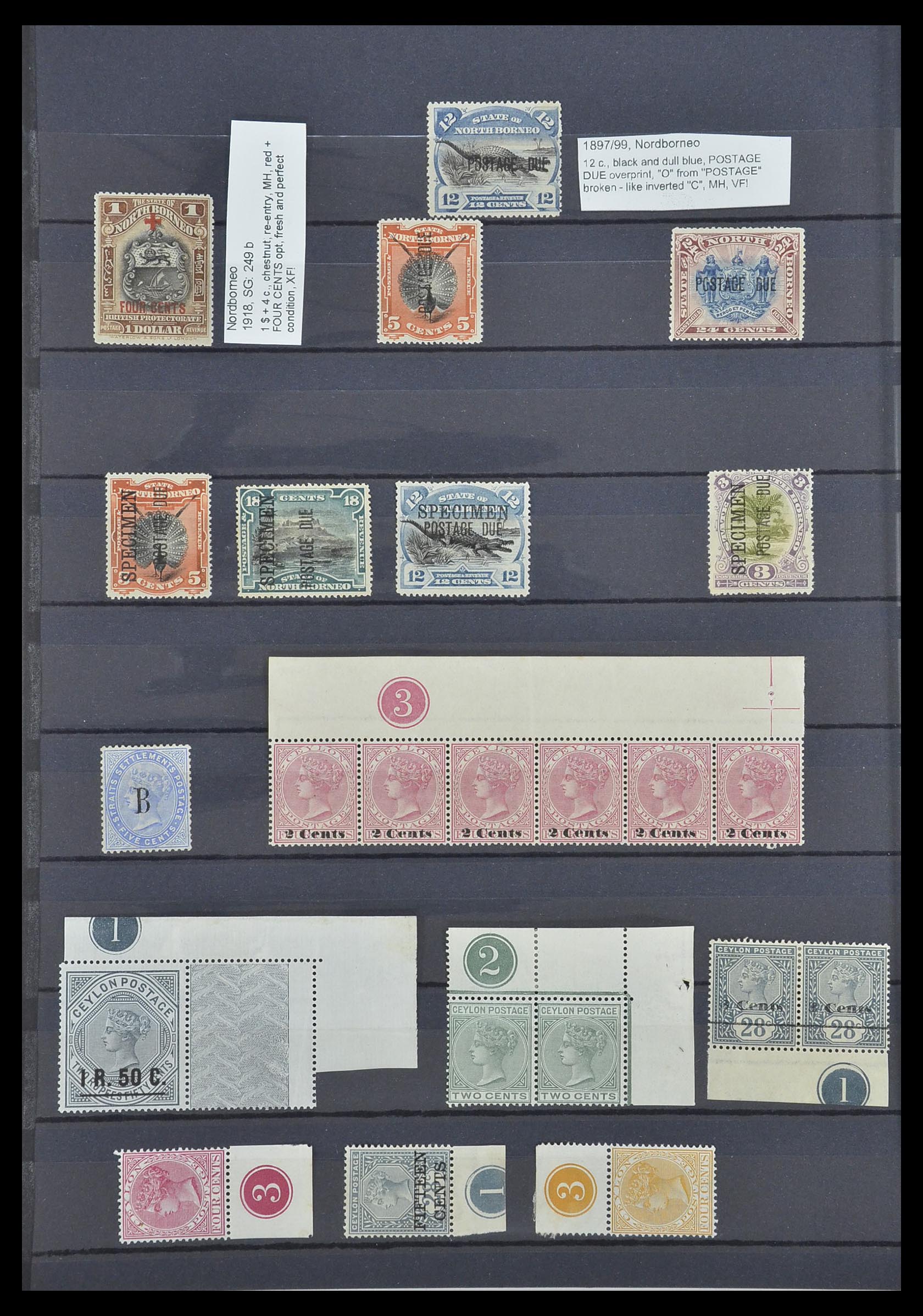 33640 030 - Postzegelverzameling 33640 Engelse koloniën topmateriaal 1853-1953.