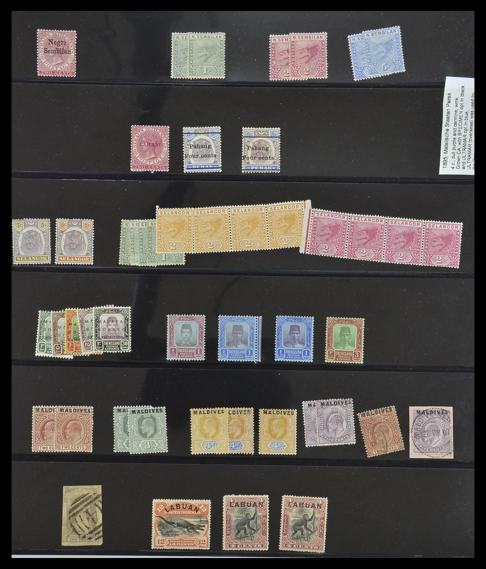 33640 035 - Postzegelverzameling 33640 Engelse koloniën topmateriaal 1853-1953.