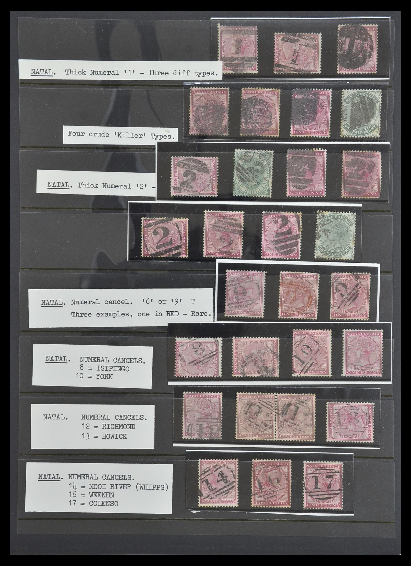 33640 036 - Postzegelverzameling 33640 Engelse koloniën topmateriaal 1853-1953.