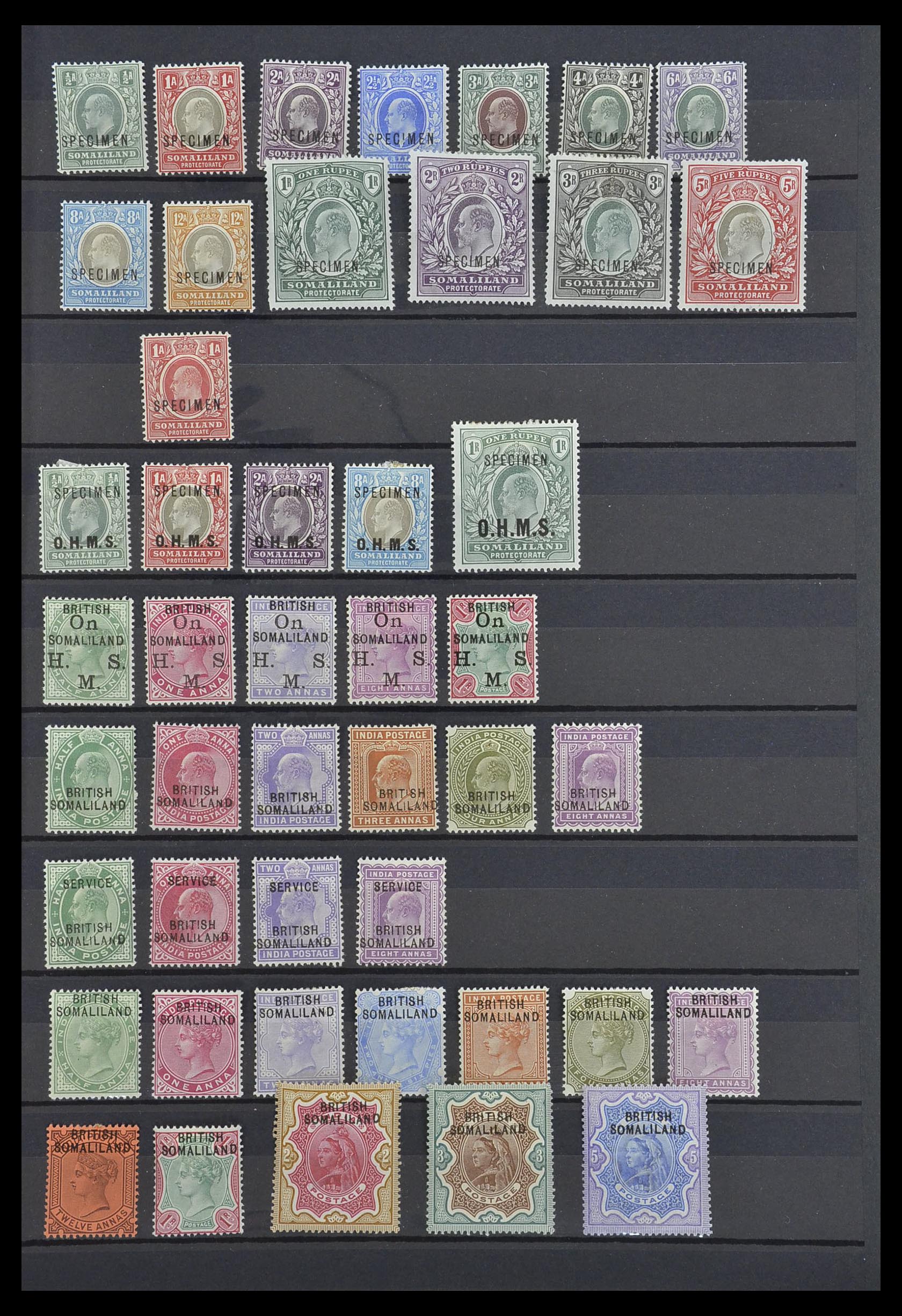 33640 049 - Postzegelverzameling 33640 Engelse koloniën topmateriaal 1853-1953.