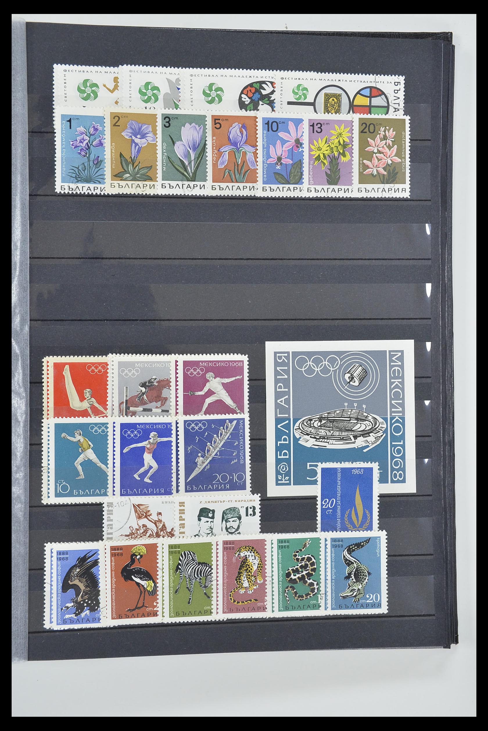33656 048 - Postzegelverzameling 33656 Bulgarije 1879-2002.