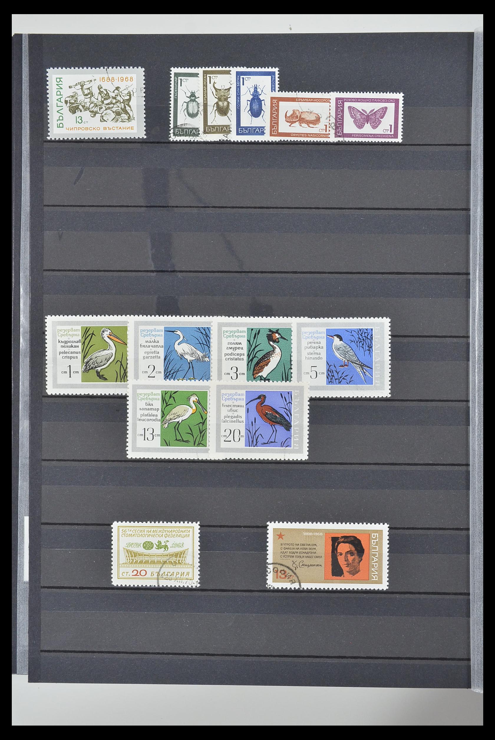 33656 050 - Postzegelverzameling 33656 Bulgarije 1879-2002.