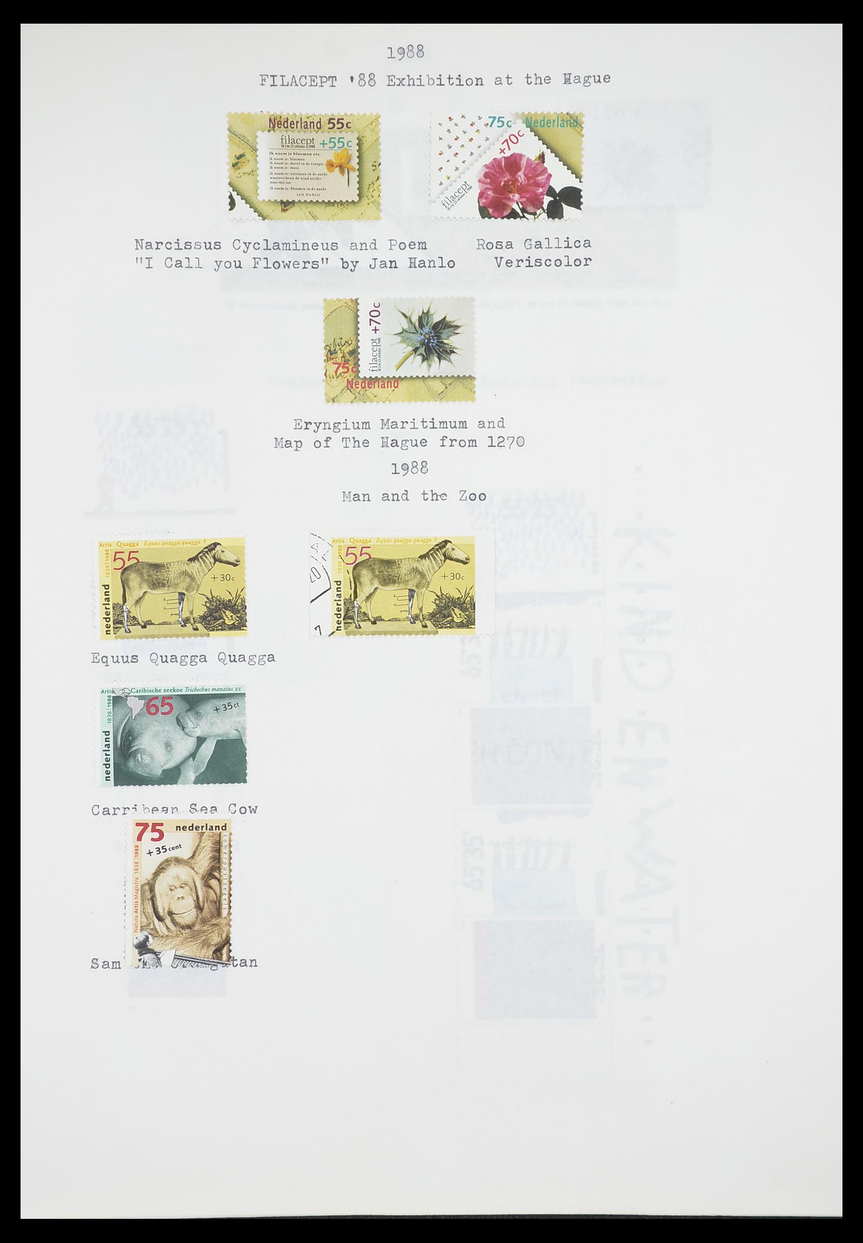 33662 214 - Stamp collection 33662 Netherlands 1852-1995.