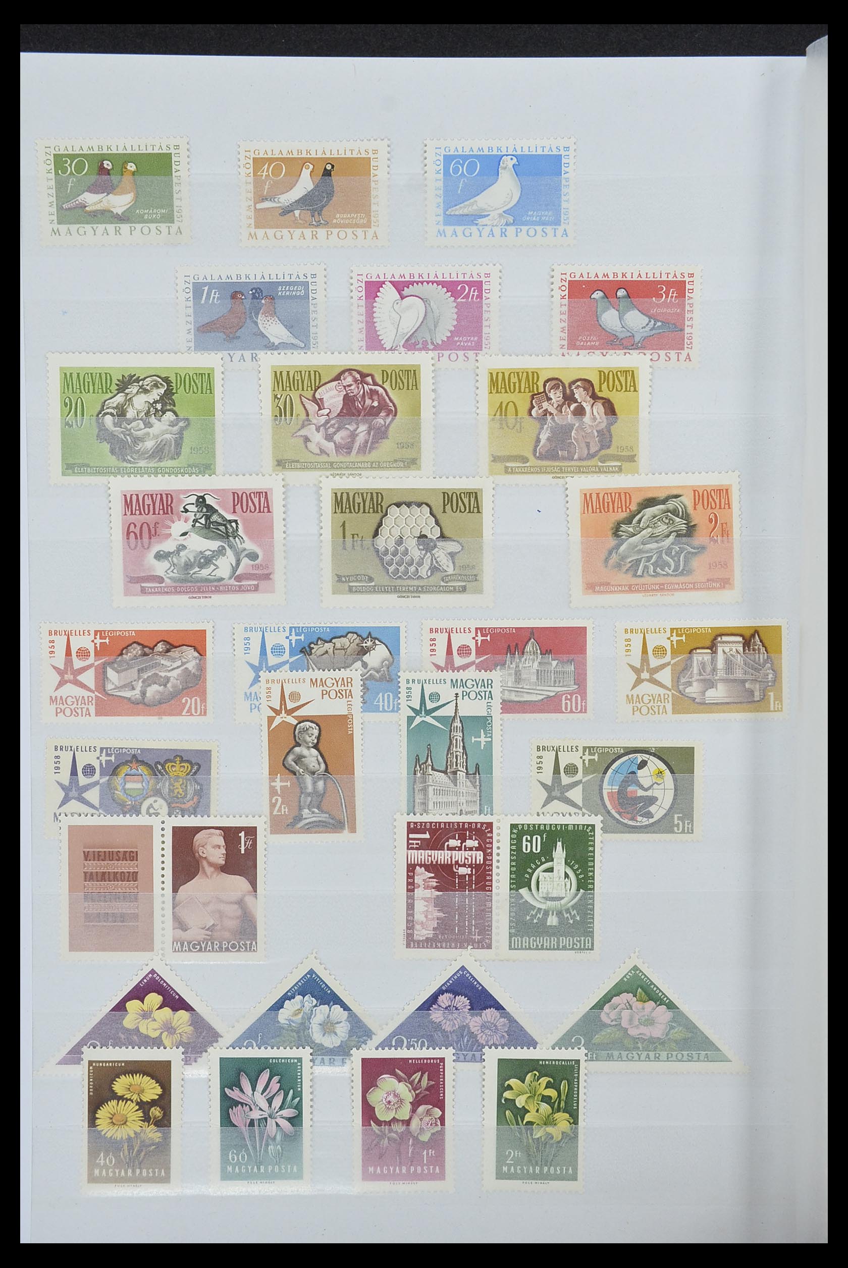 33669 028 - Postzegelverzameling 33669 Hongarije 1913-1985.