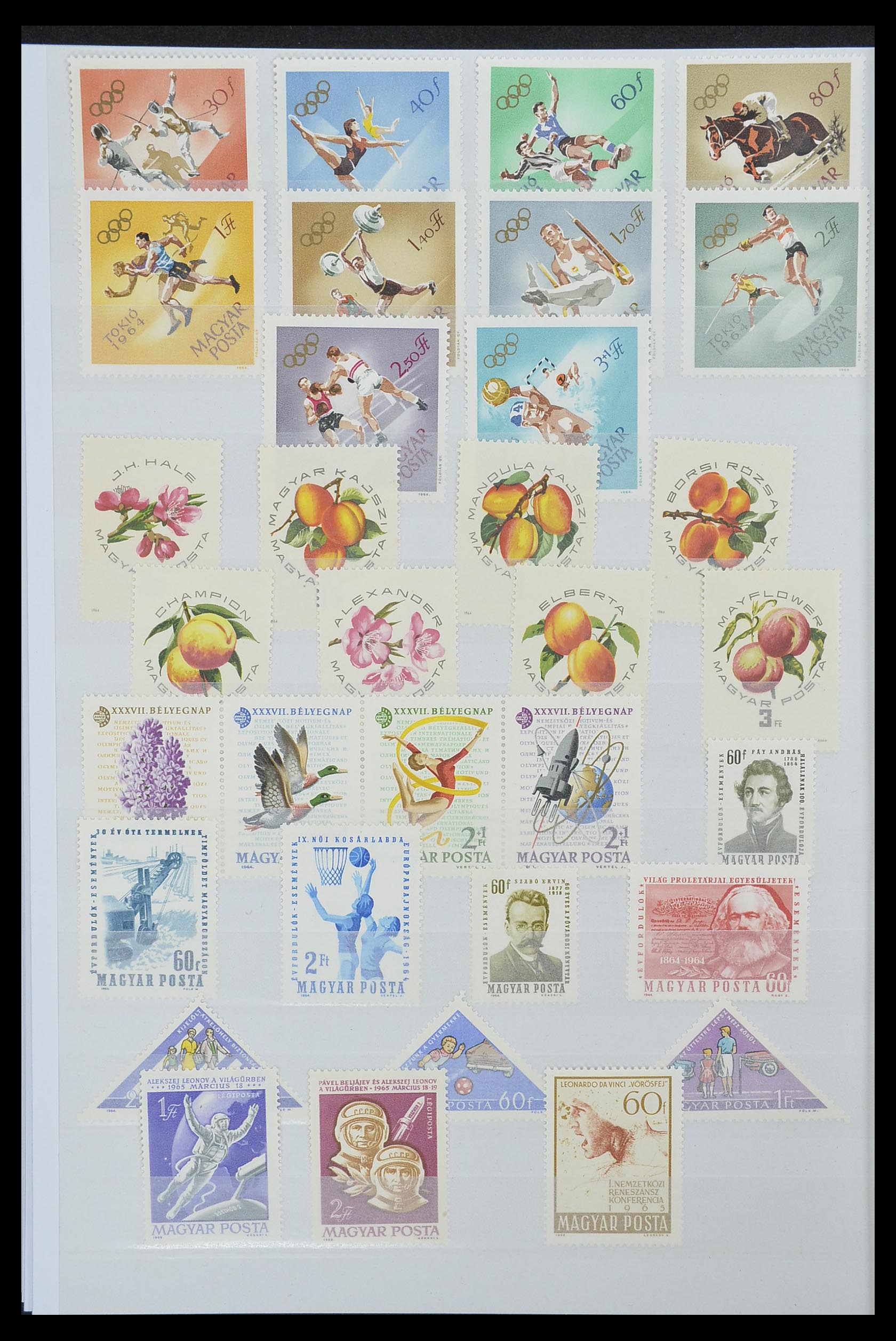 33669 042 - Postzegelverzameling 33669 Hongarije 1913-1985.