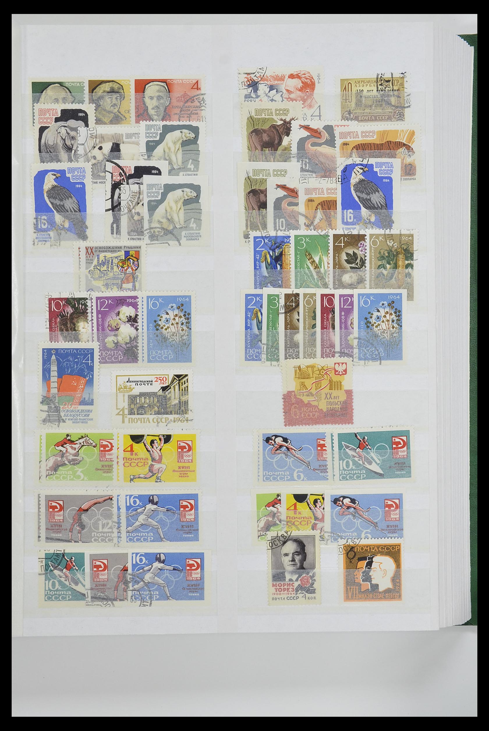 33674 085 - Postzegelverzameling 33674 Rusland 1858-1999.