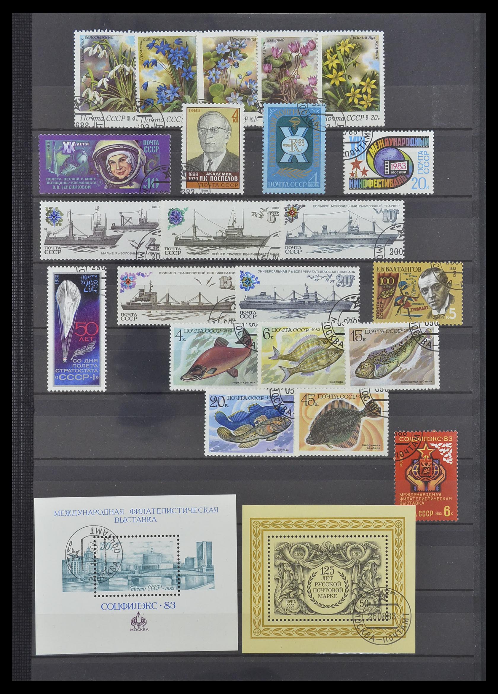 33674 192 - Postzegelverzameling 33674 Rusland 1858-1999.