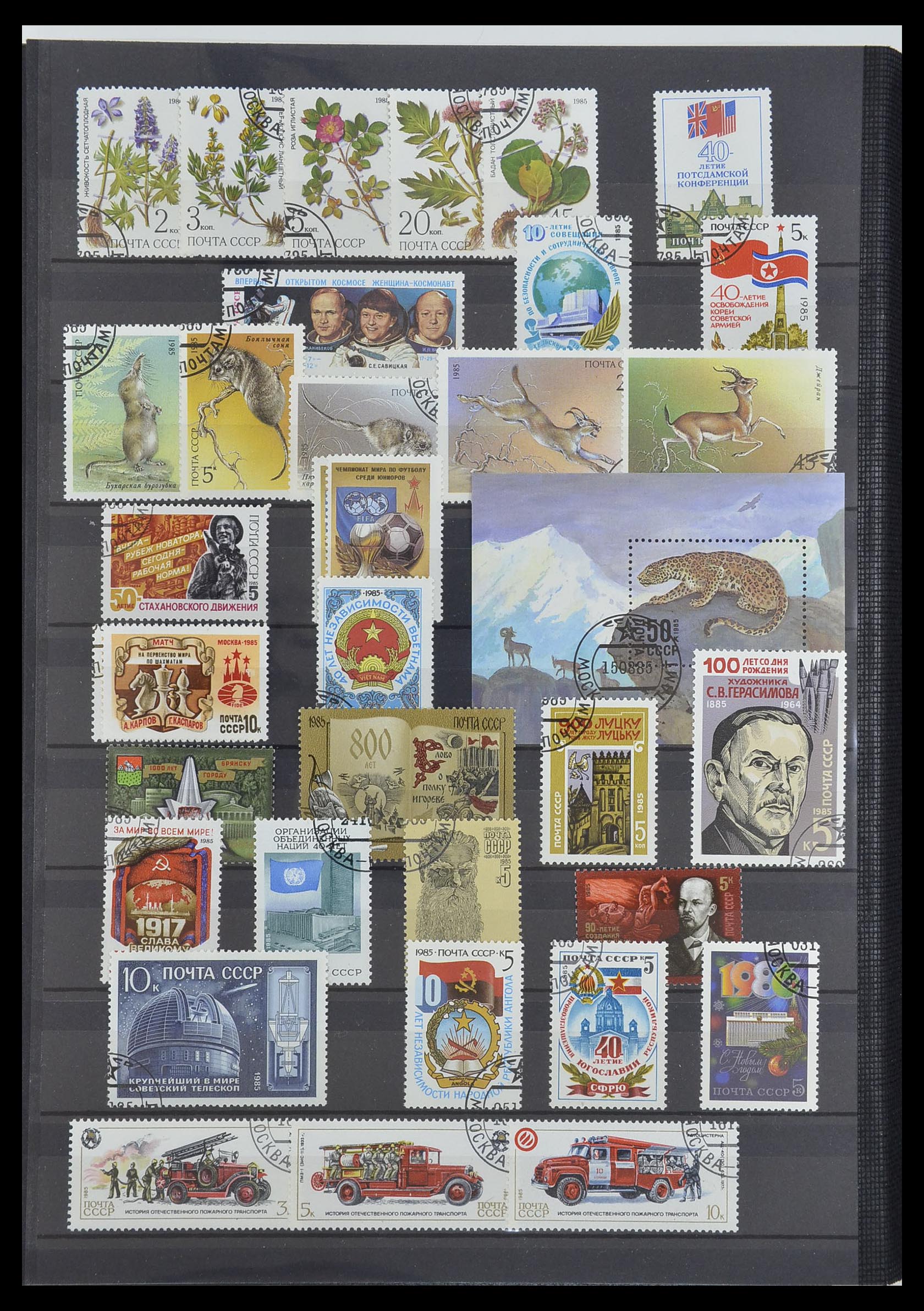 33674 204 - Postzegelverzameling 33674 Rusland 1858-1999.