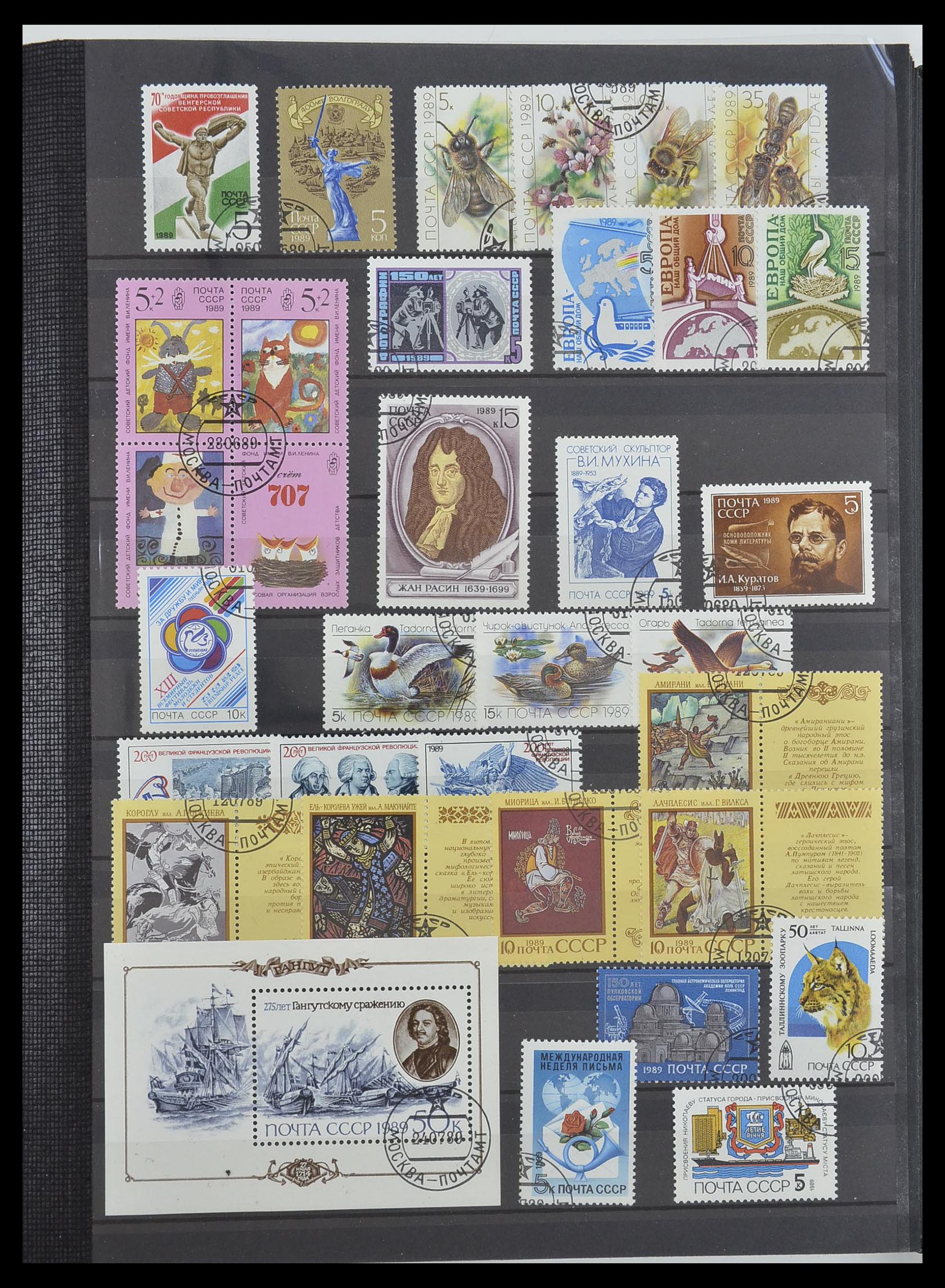 33674 221 - Stamp collection 33674 Russia 1858-1999.