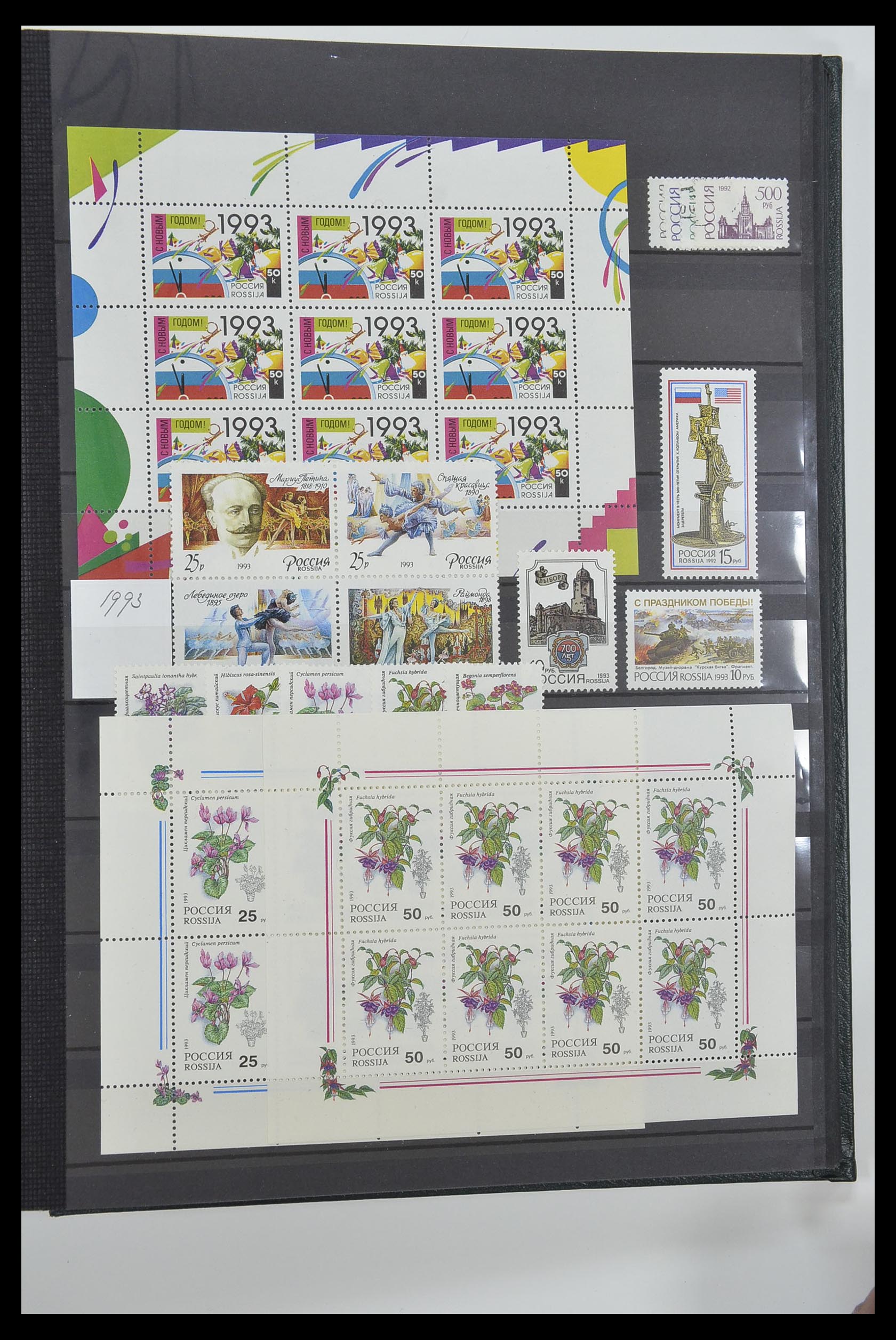 33674 237 - Postzegelverzameling 33674 Rusland 1858-1999.