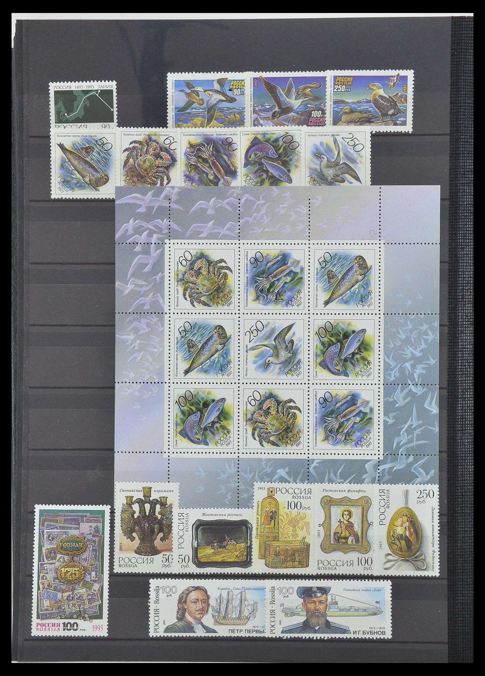 33674 240 - Postzegelverzameling 33674 Rusland 1858-1999.