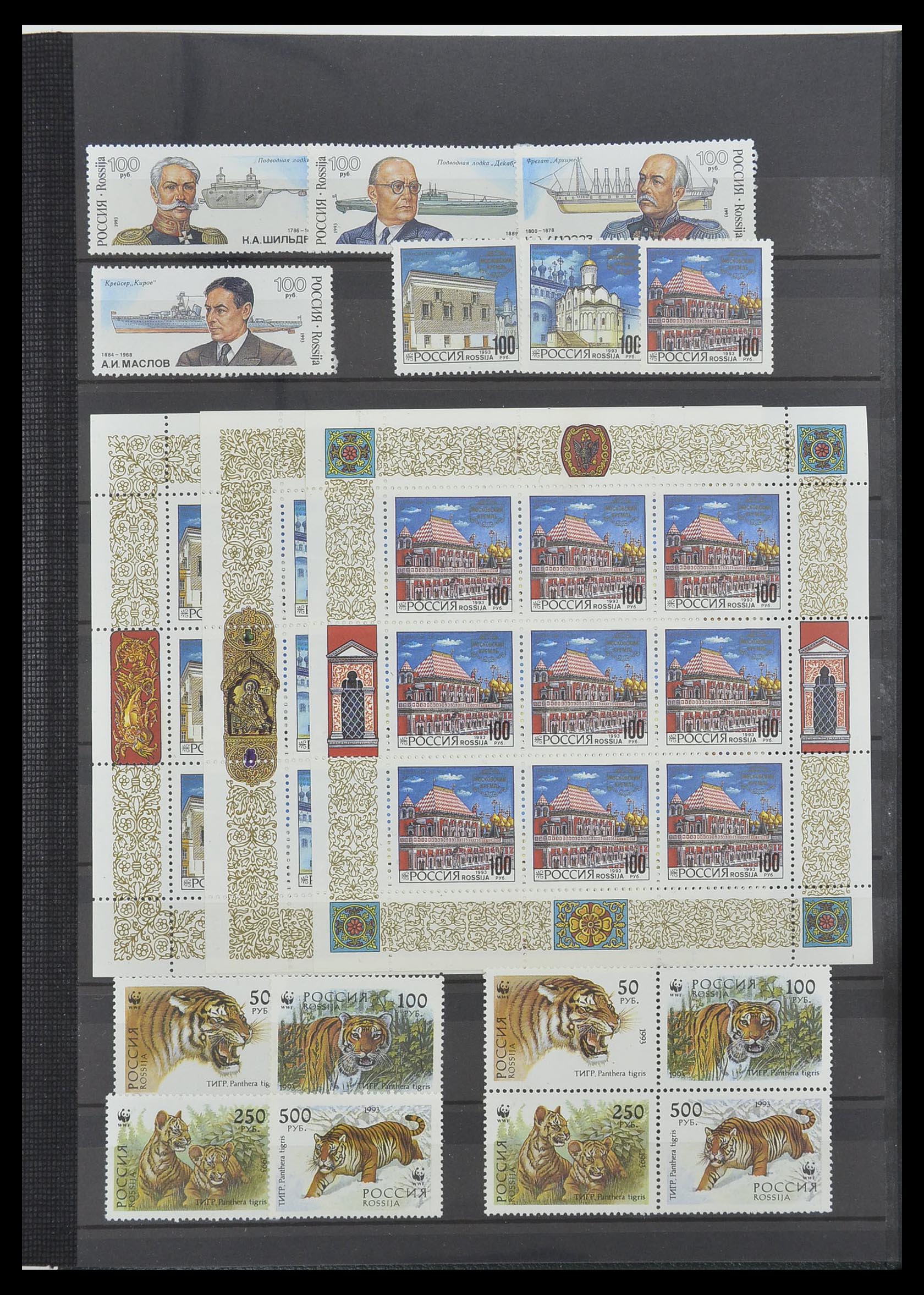 33674 241 - Stamp collection 33674 Russia 1858-1999.