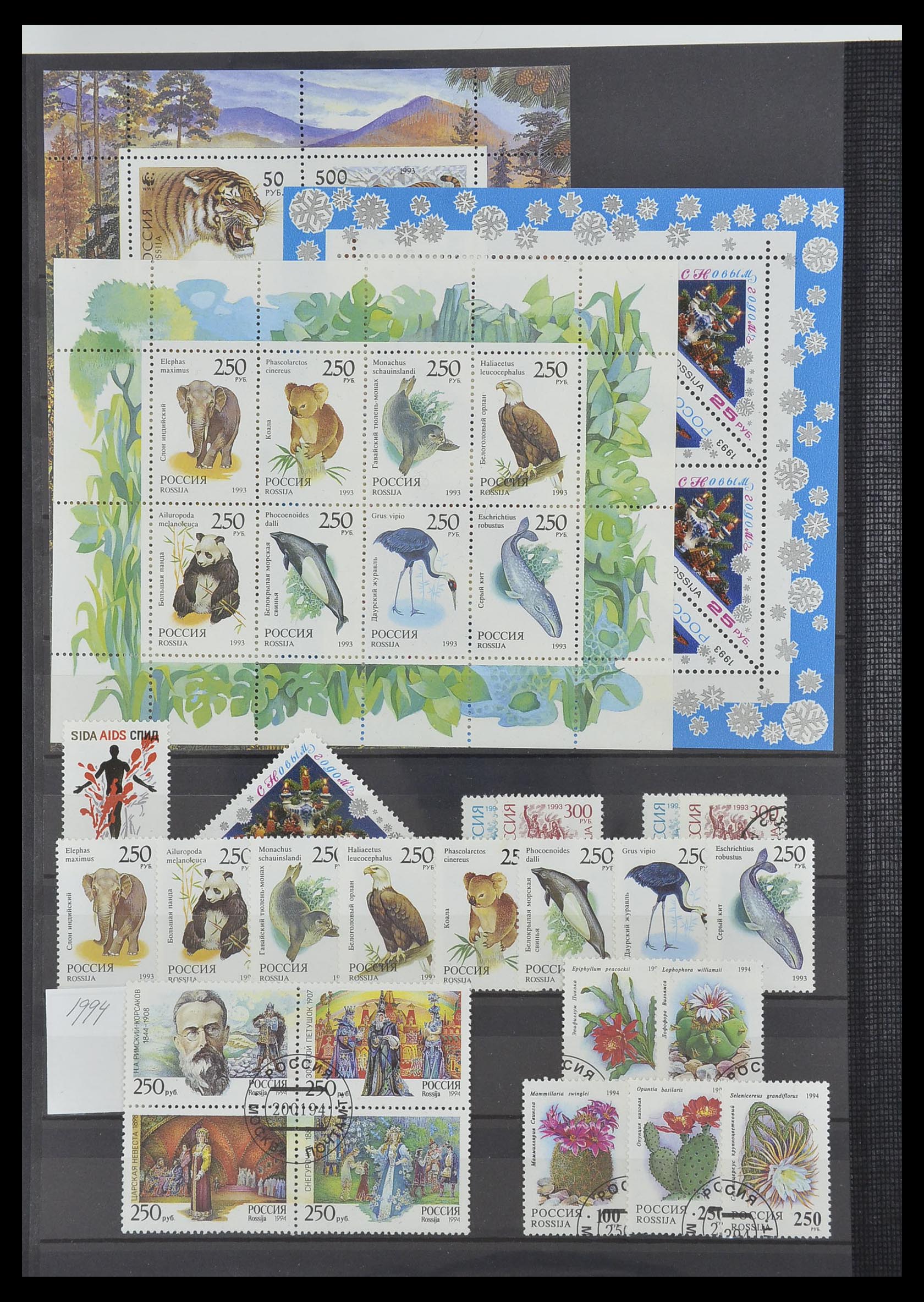 33674 242 - Postzegelverzameling 33674 Rusland 1858-1999.