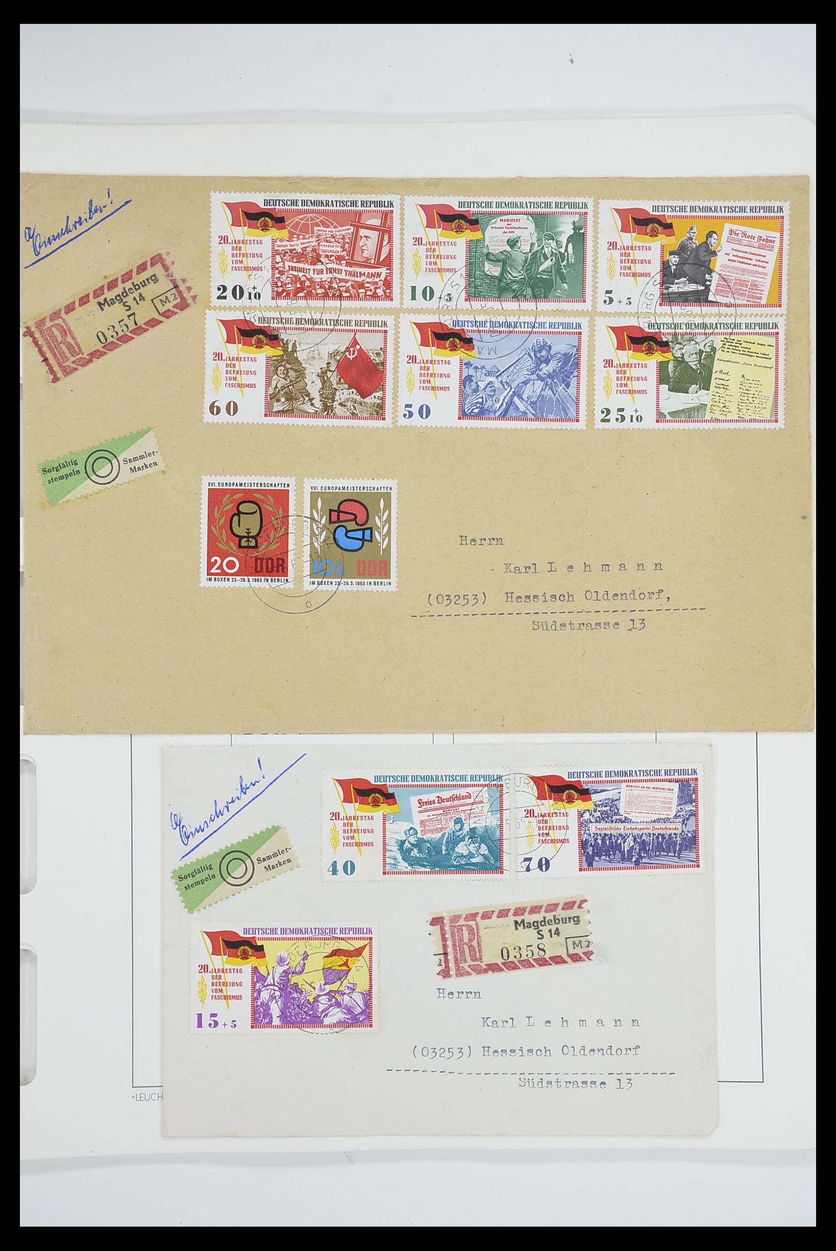 33709 100 - Stamp collection 33709 DDR 1948-1973.