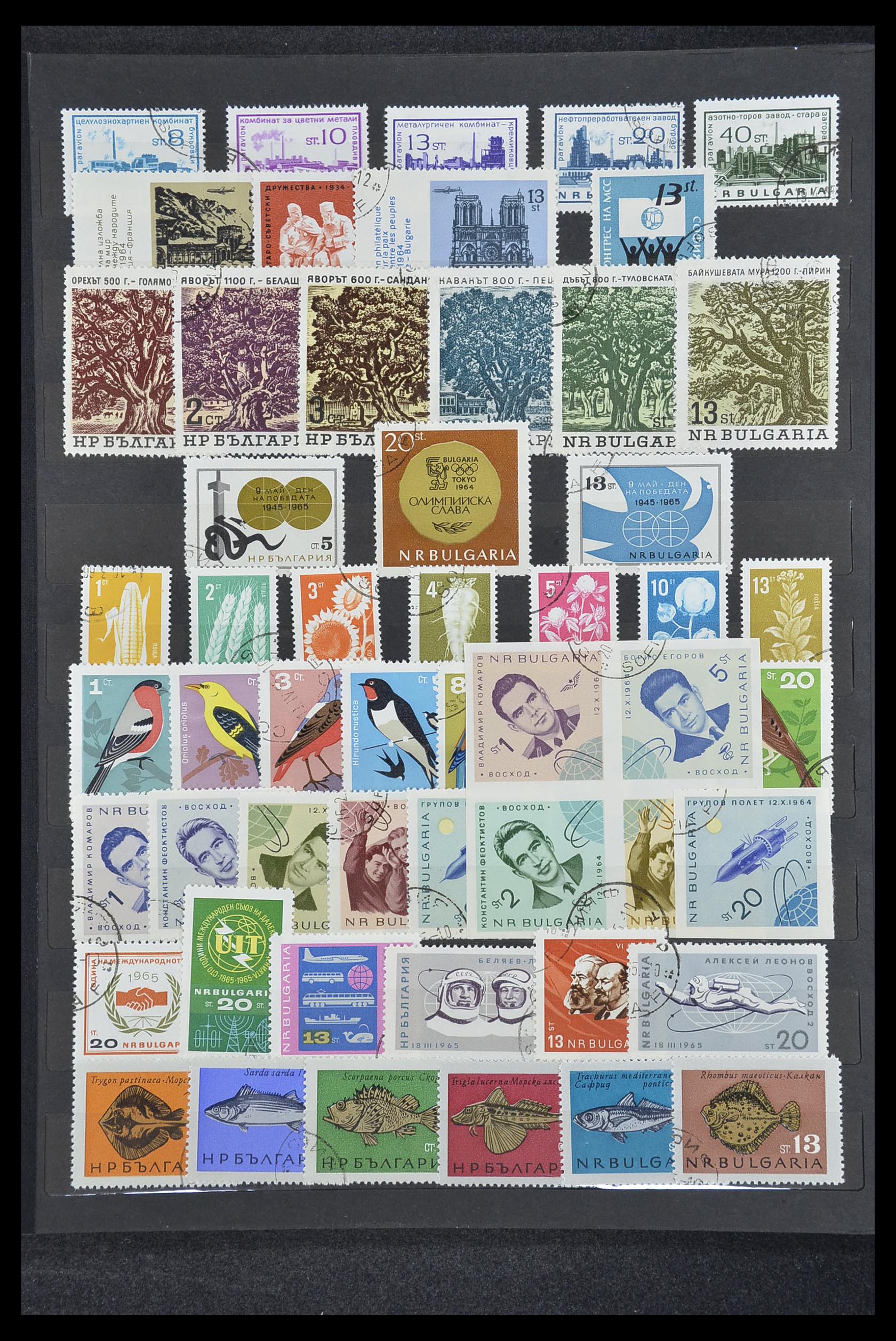33711 009 - Postzegelverzameling 33711 Bulgarije 1879-1979.