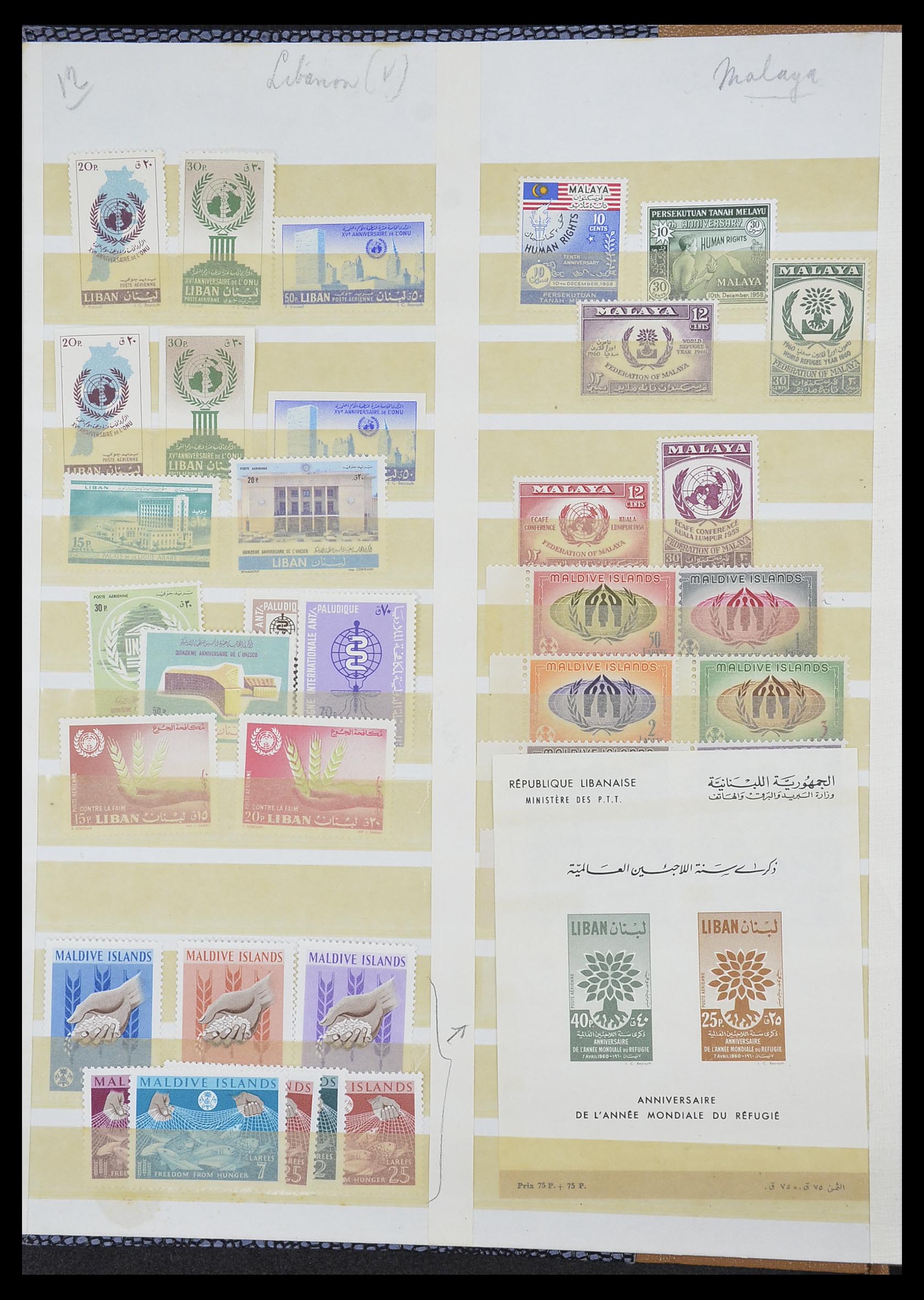 33712 012 - Postzegelverzameling 33712 Azië en Afrika 1950-1970.