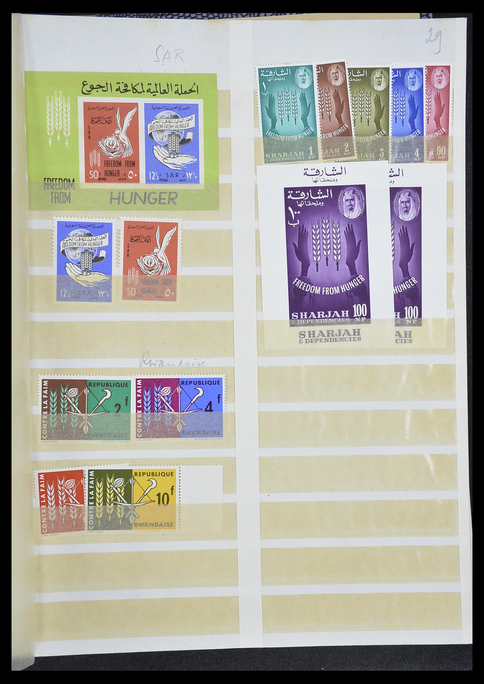 33712 029 - Postzegelverzameling 33712 Azië en Afrika 1950-1970.