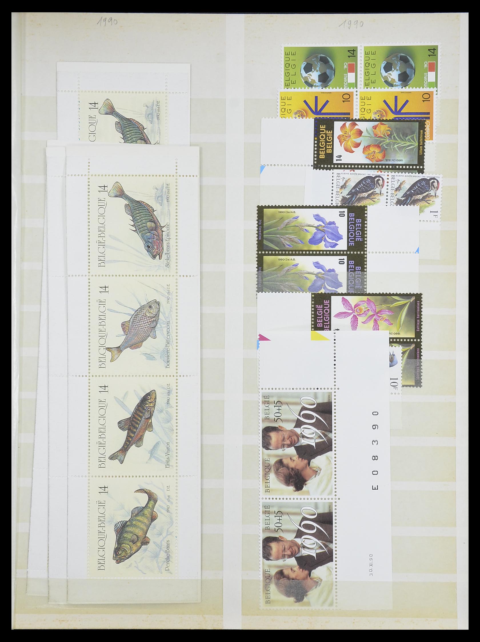 33743 014 - Postzegelverzameling 33743 België 1961-2000.