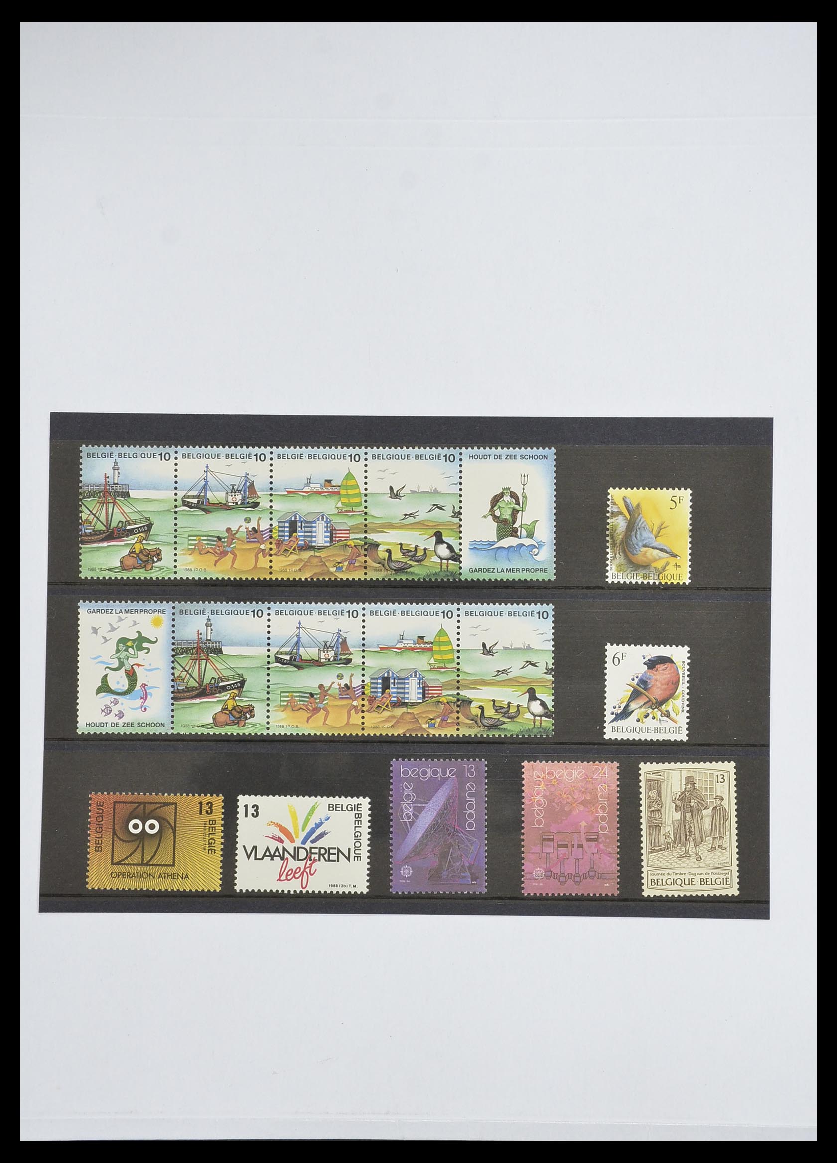33743 019 - Stamp collection 33743 Belgium 1961-2000.