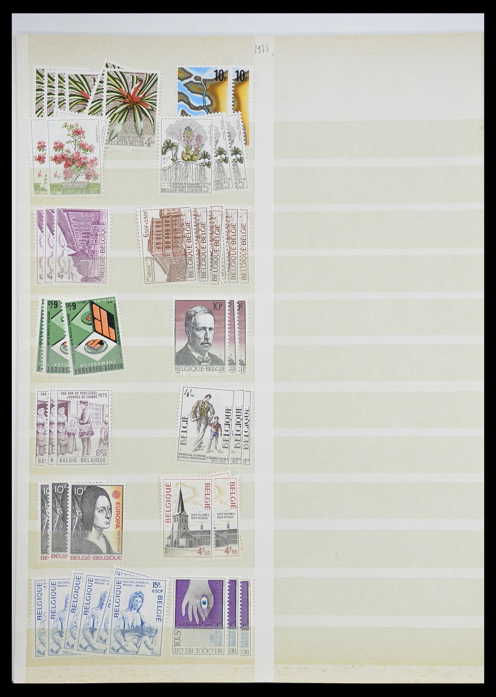 33743 049 - Postzegelverzameling 33743 België 1961-2000.